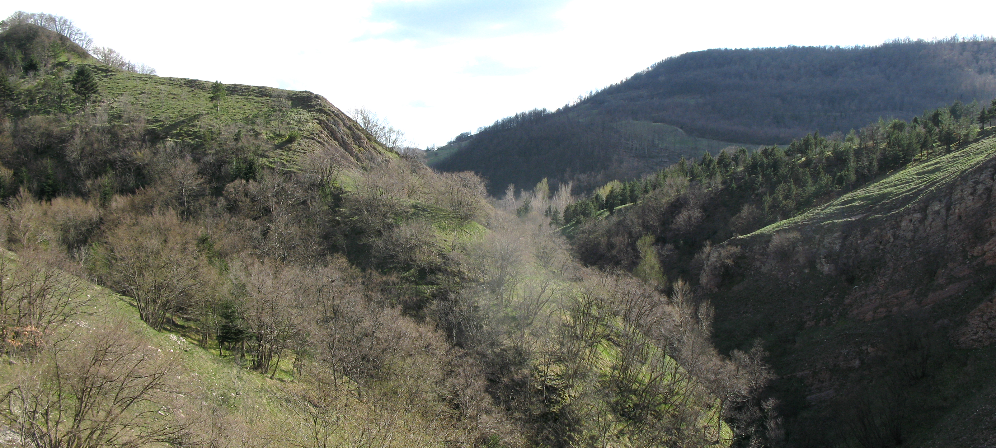 Monte Nerone Sentiero 30 - immagine 14