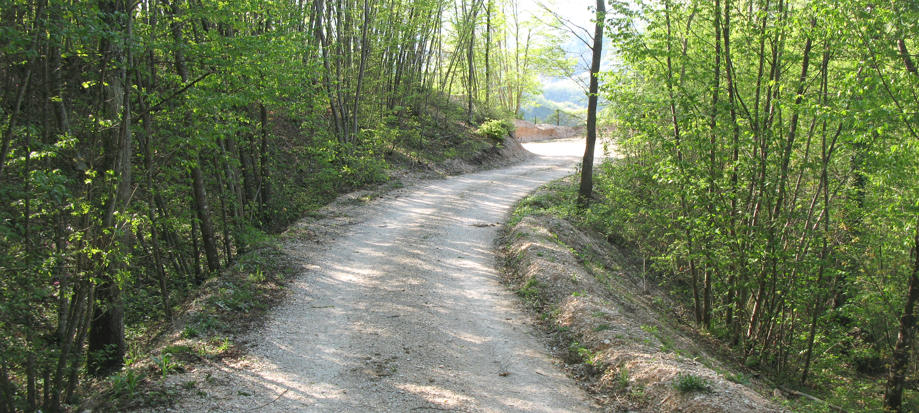 Monte Nerone Sentiero 33 - immagine 2
