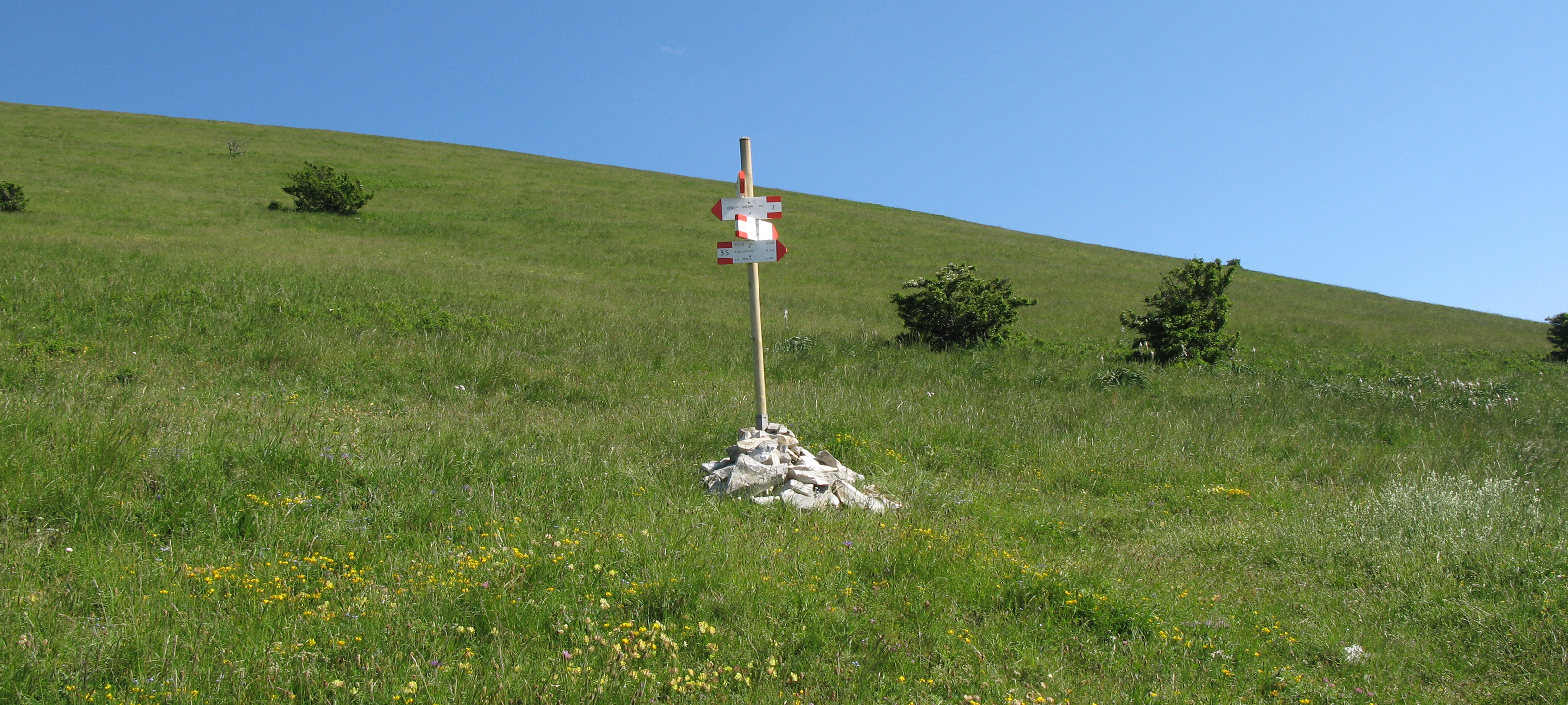Monte Nerone Sentiero 35 - immagine 8