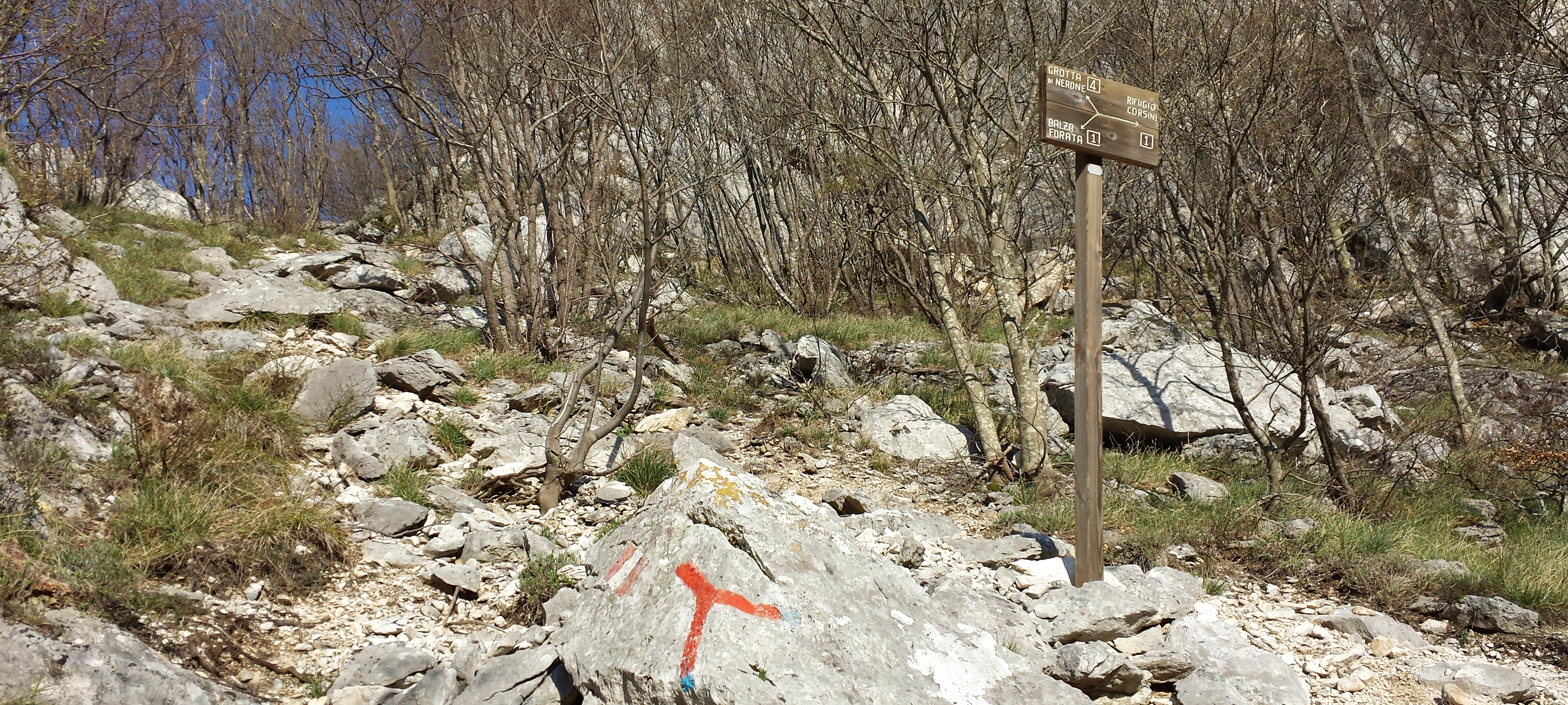 Monte Nerone Sentiero 4 - immagine 1