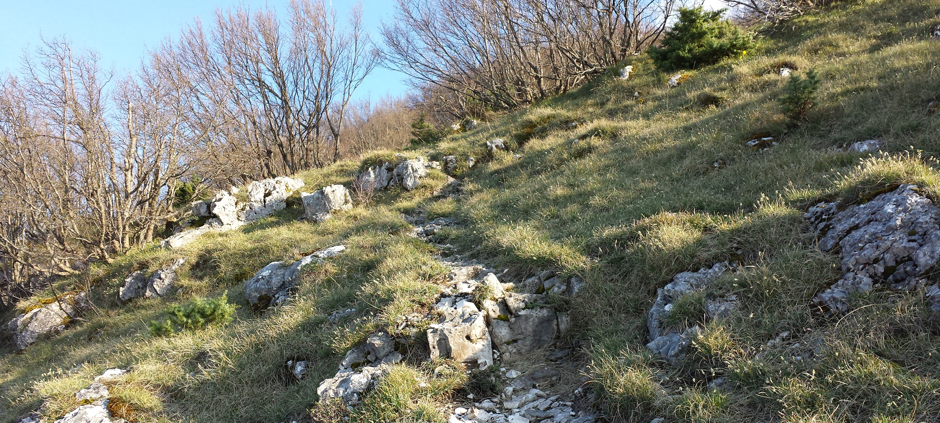 Monte Nerone Sentiero 4 - immagine 5