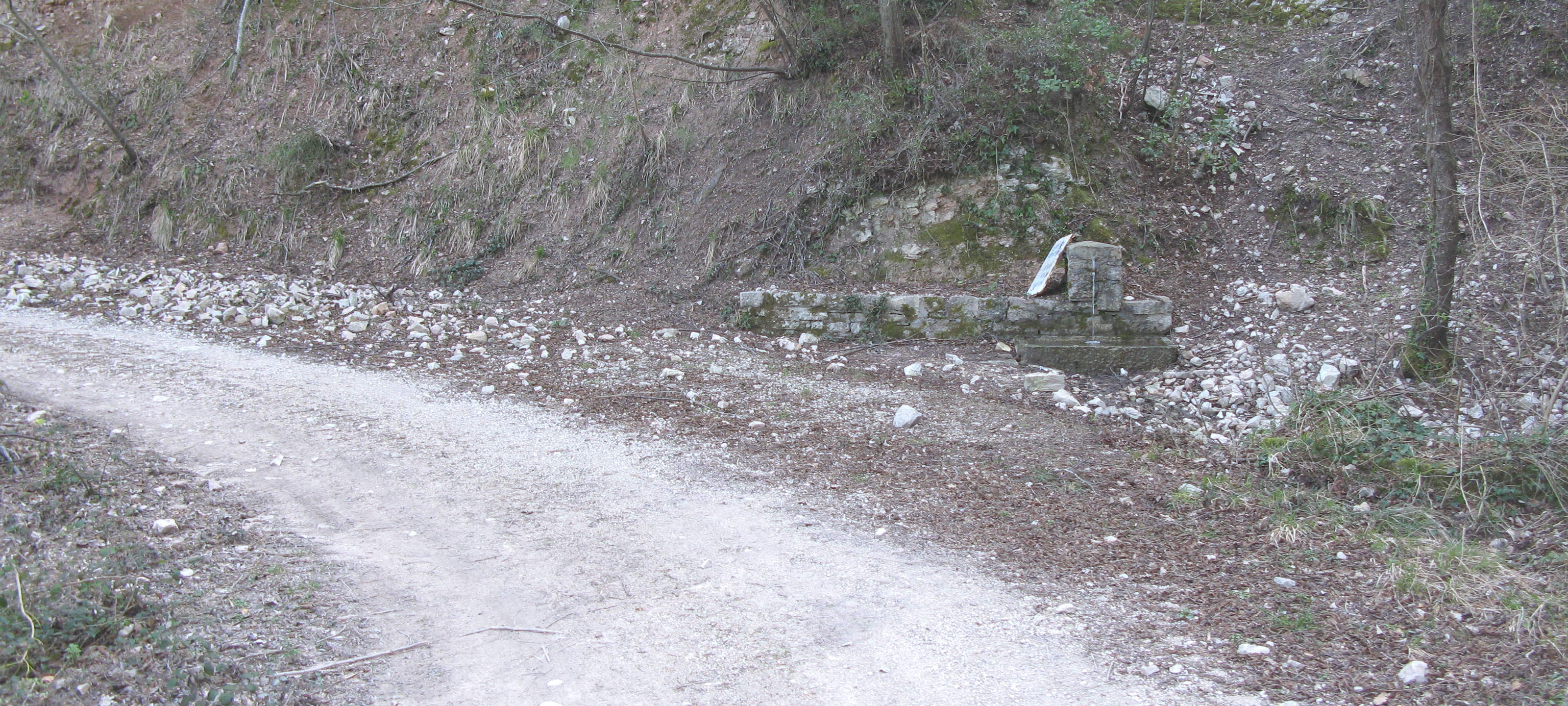 Gola del Furlo Sentiero 440 - immagine 3