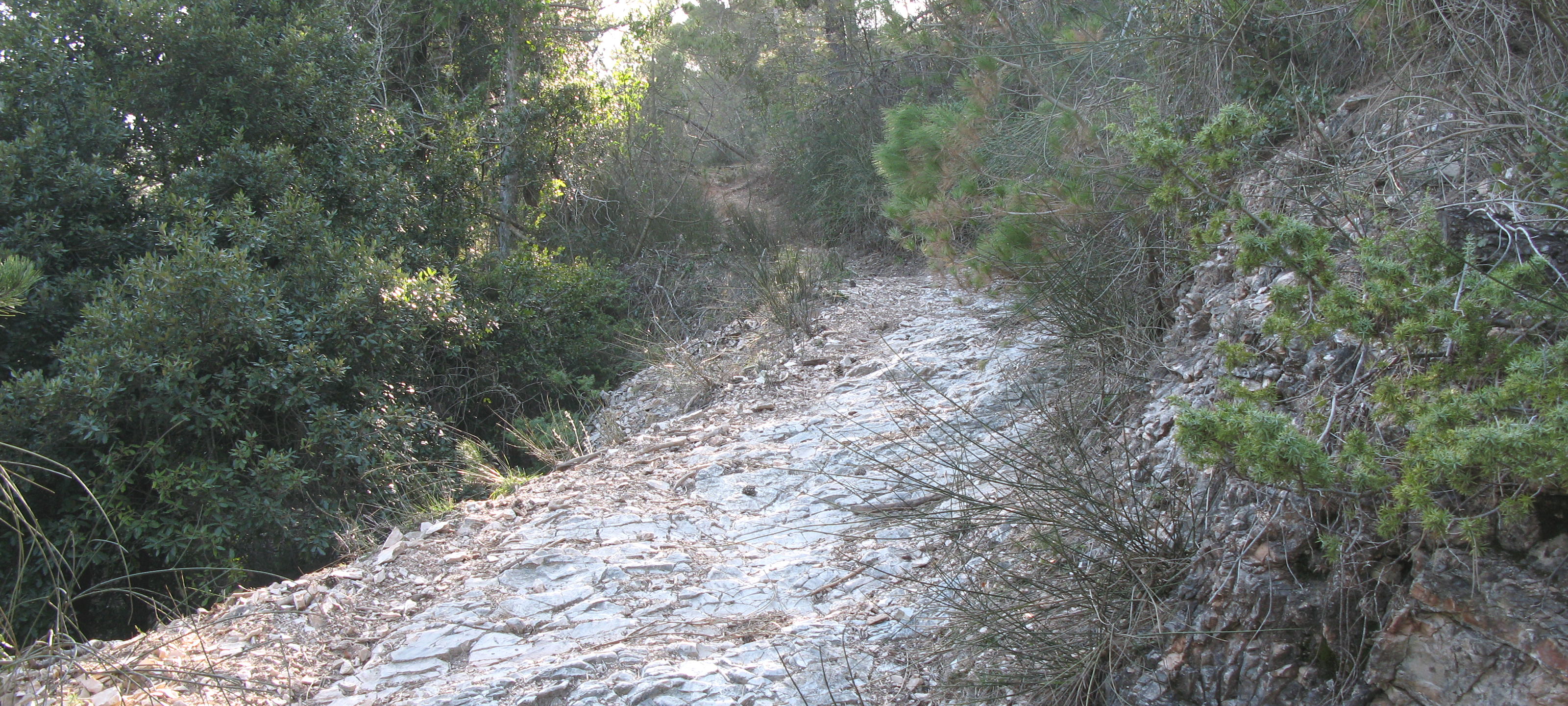 Gola del Furlo Sentiero 440 - immagine 4