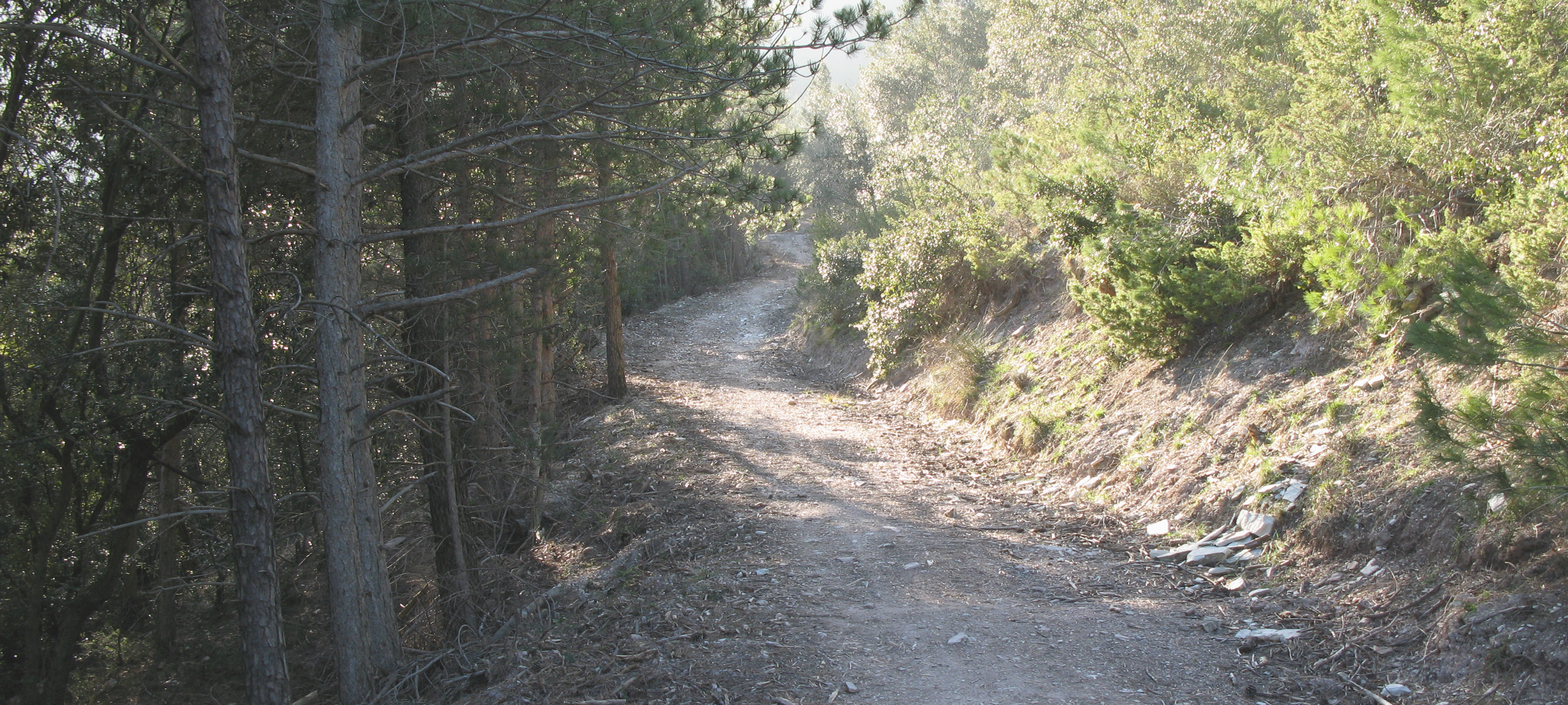 Gola del Furlo Sentiero 440 - immagine 5
