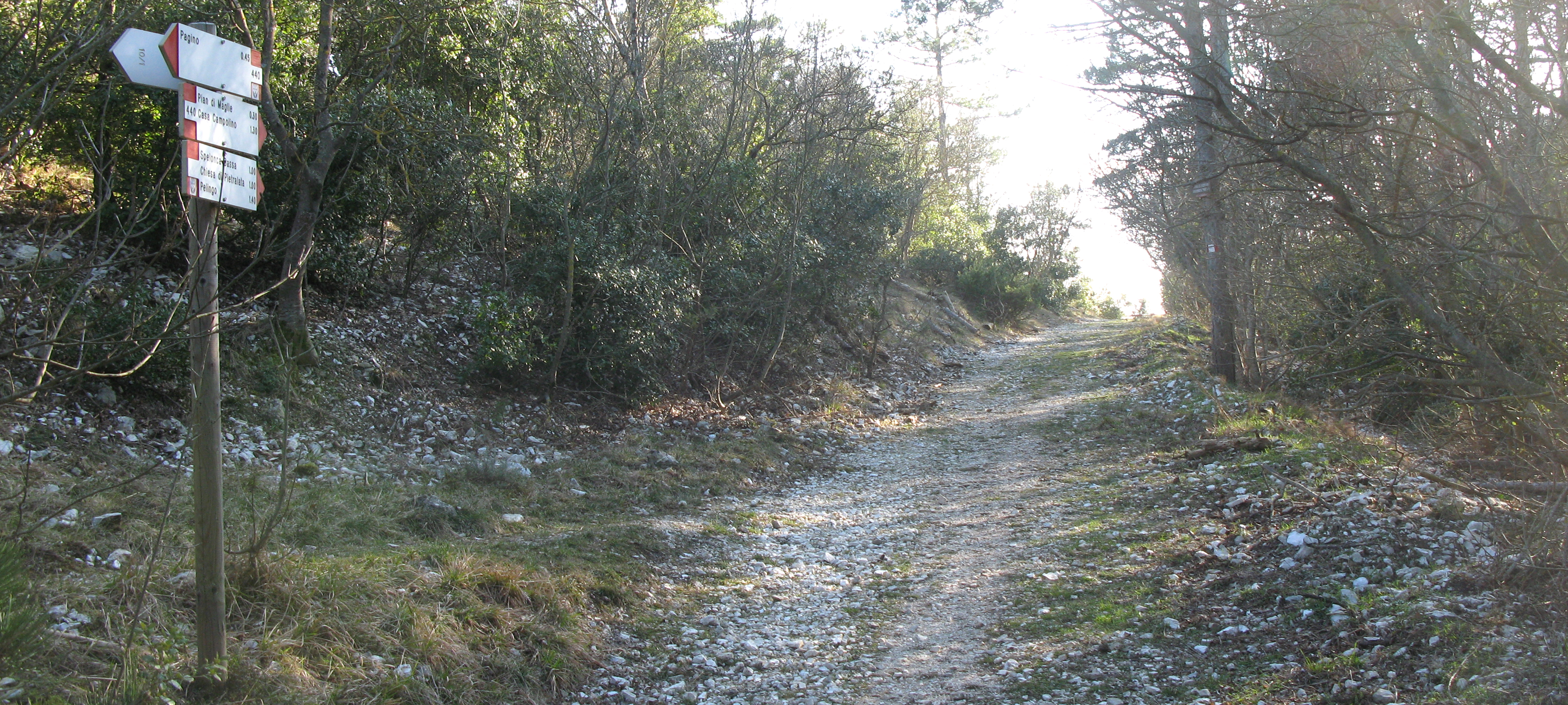 Gola del Furlo Sentiero 440 - immagine 7