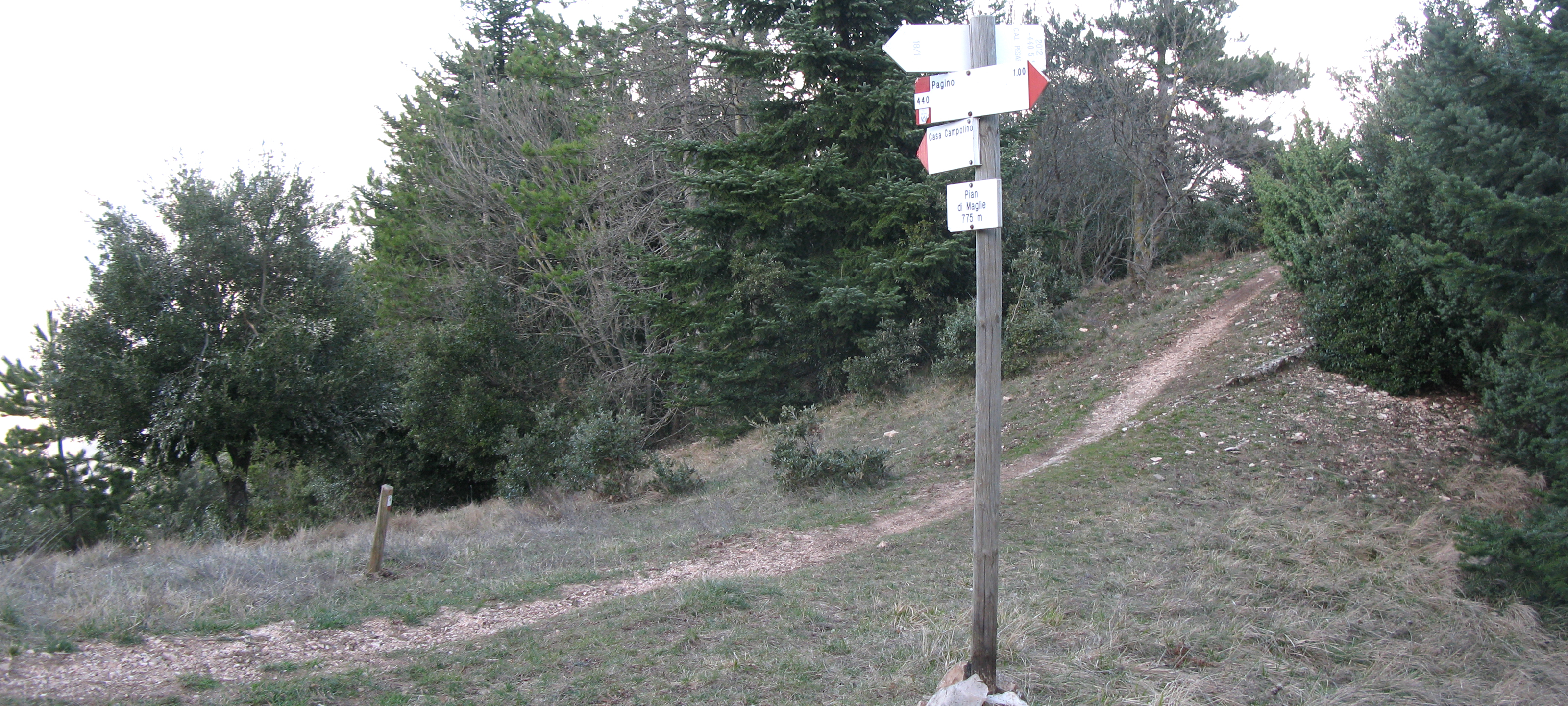 Gola del Furlo Sentiero 440 - immagine 10