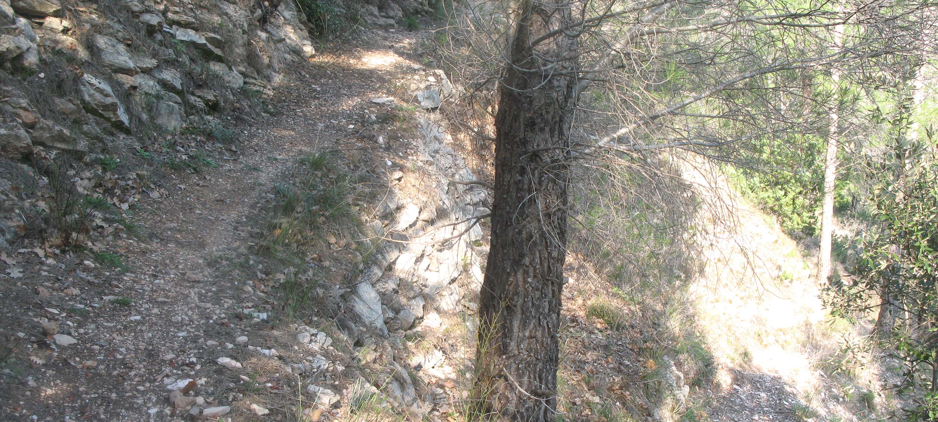 Gola del Furlo Sentiero 440A - immagine 2