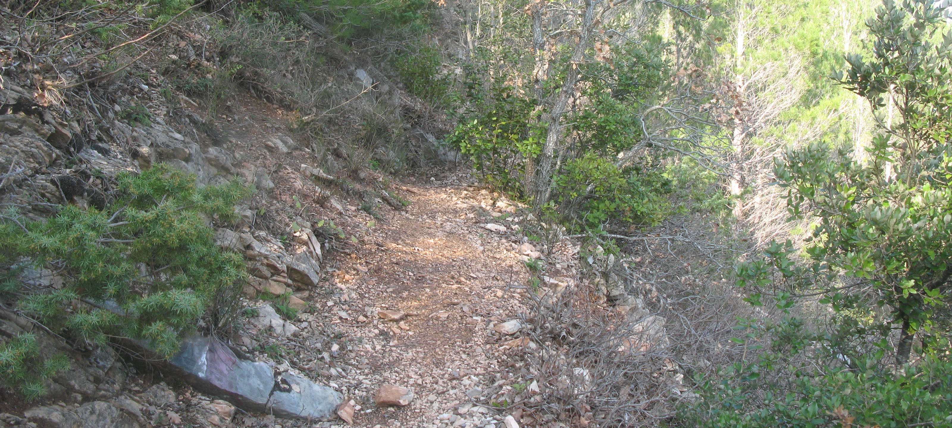 Gola del Furlo Sentiero 440A - immagine 3