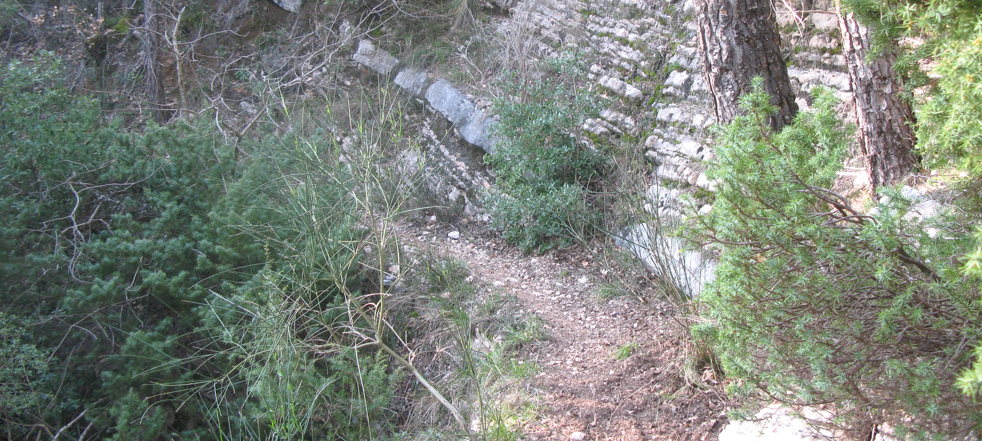 Gola del Furlo Sentiero 440A - immagine 4