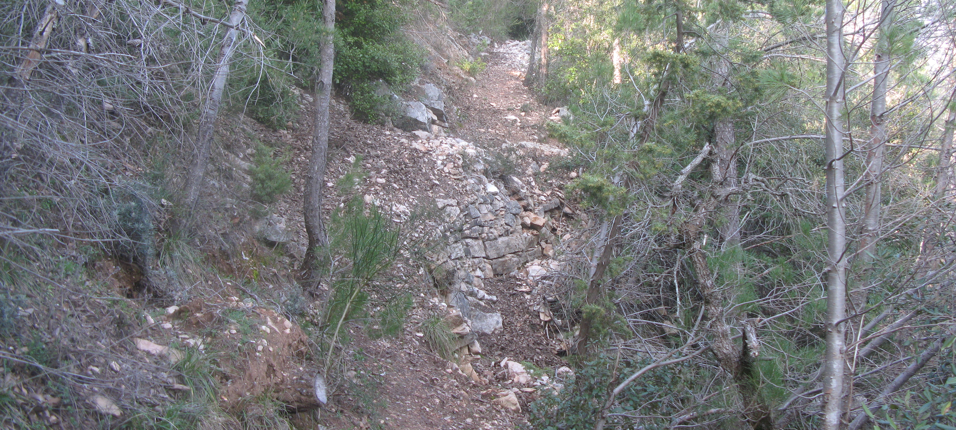 Gola del Furlo Sentiero 440A - immagine 5