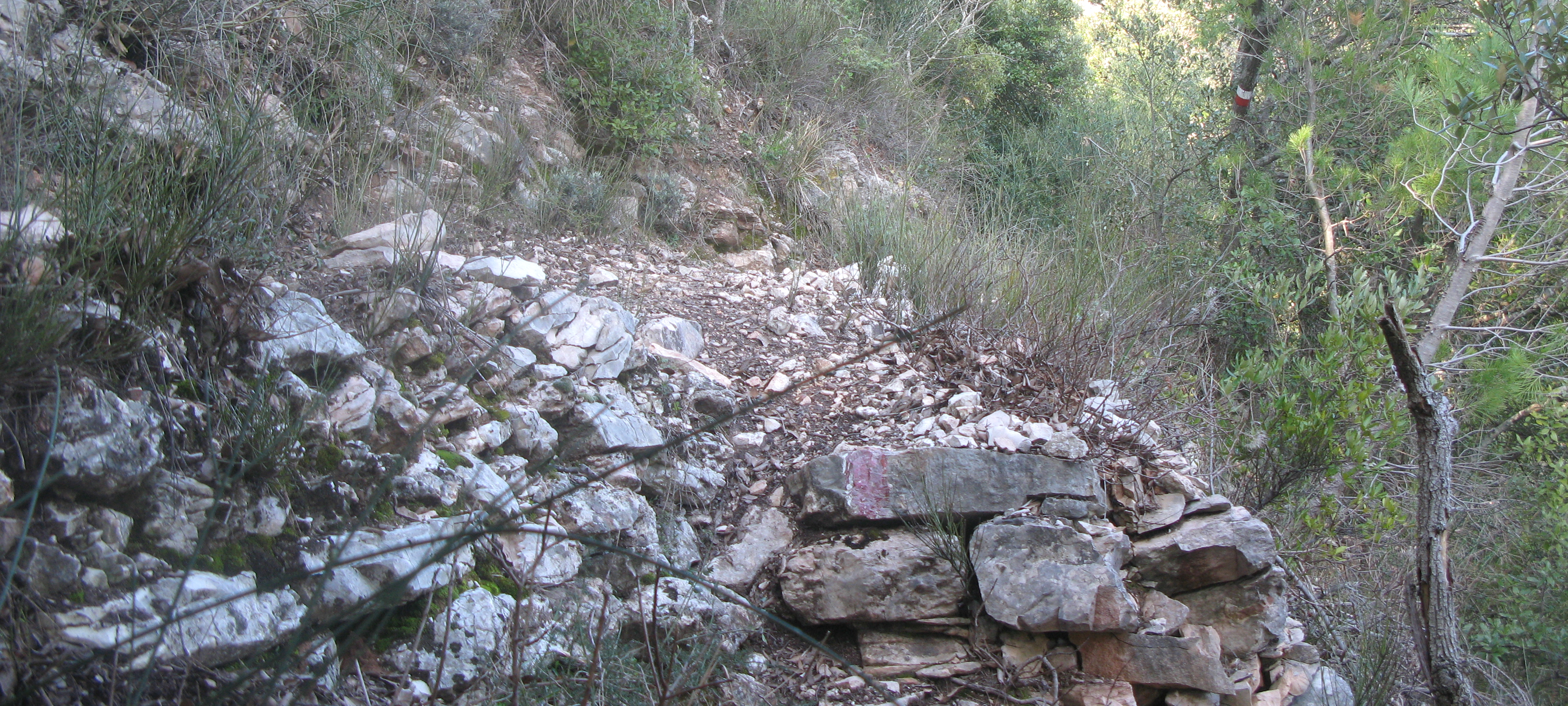 Gola del Furlo Sentiero 440A - immagine 6