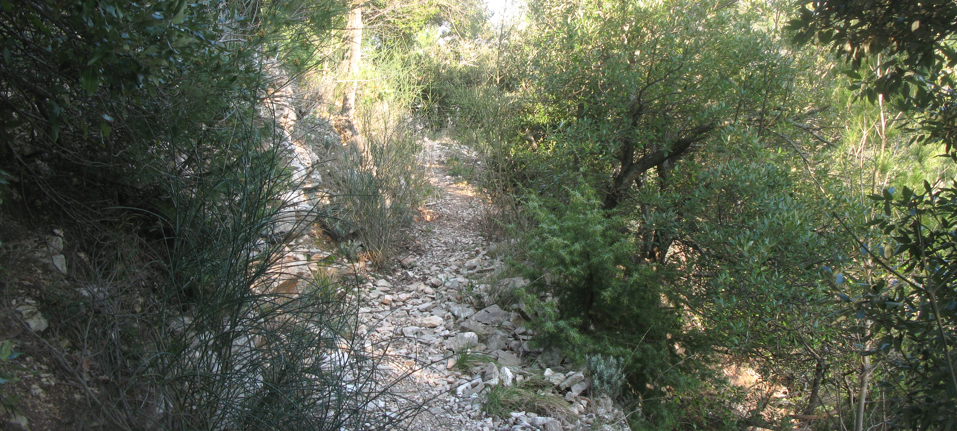 Gola del Furlo Sentiero 440A - immagine 7