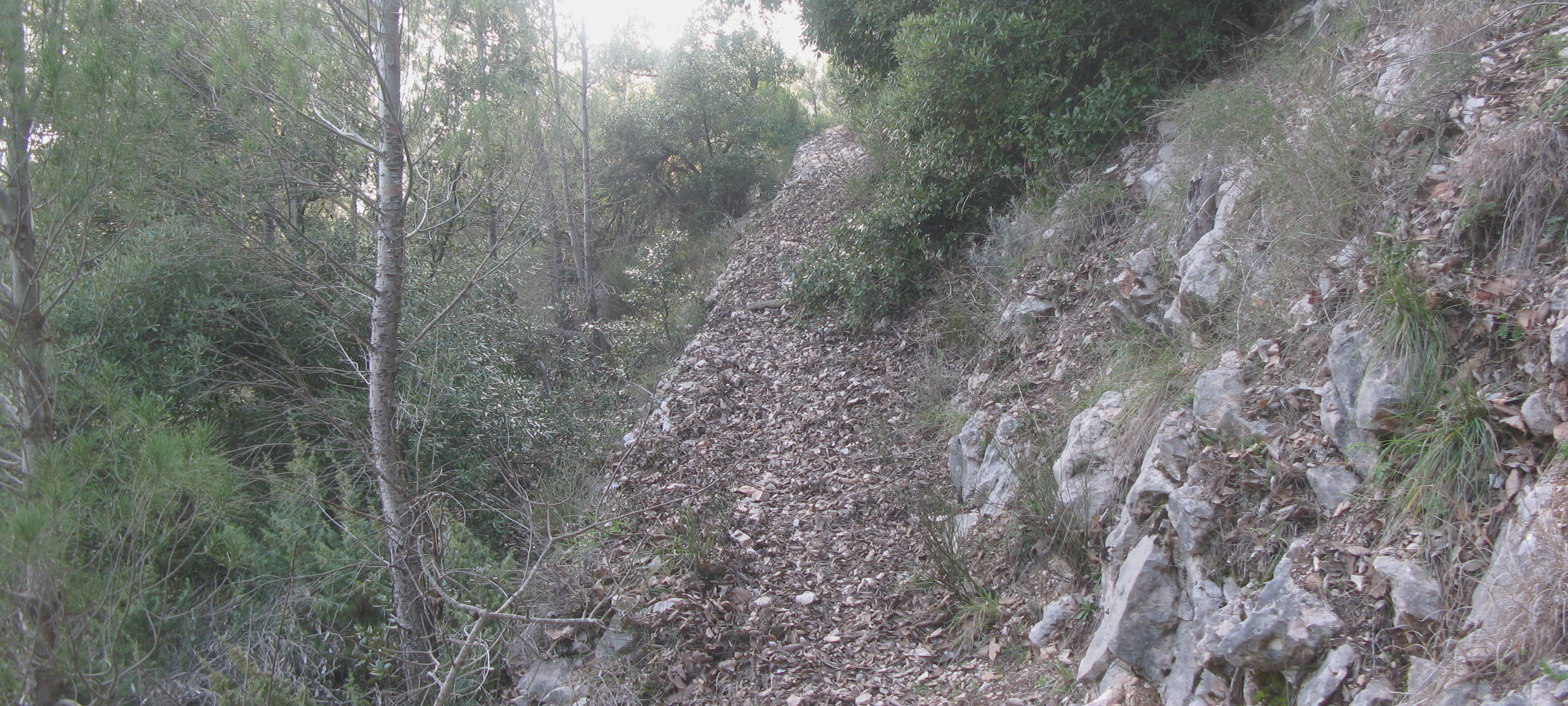 Gola del Furlo Sentiero 440A - immagine 8