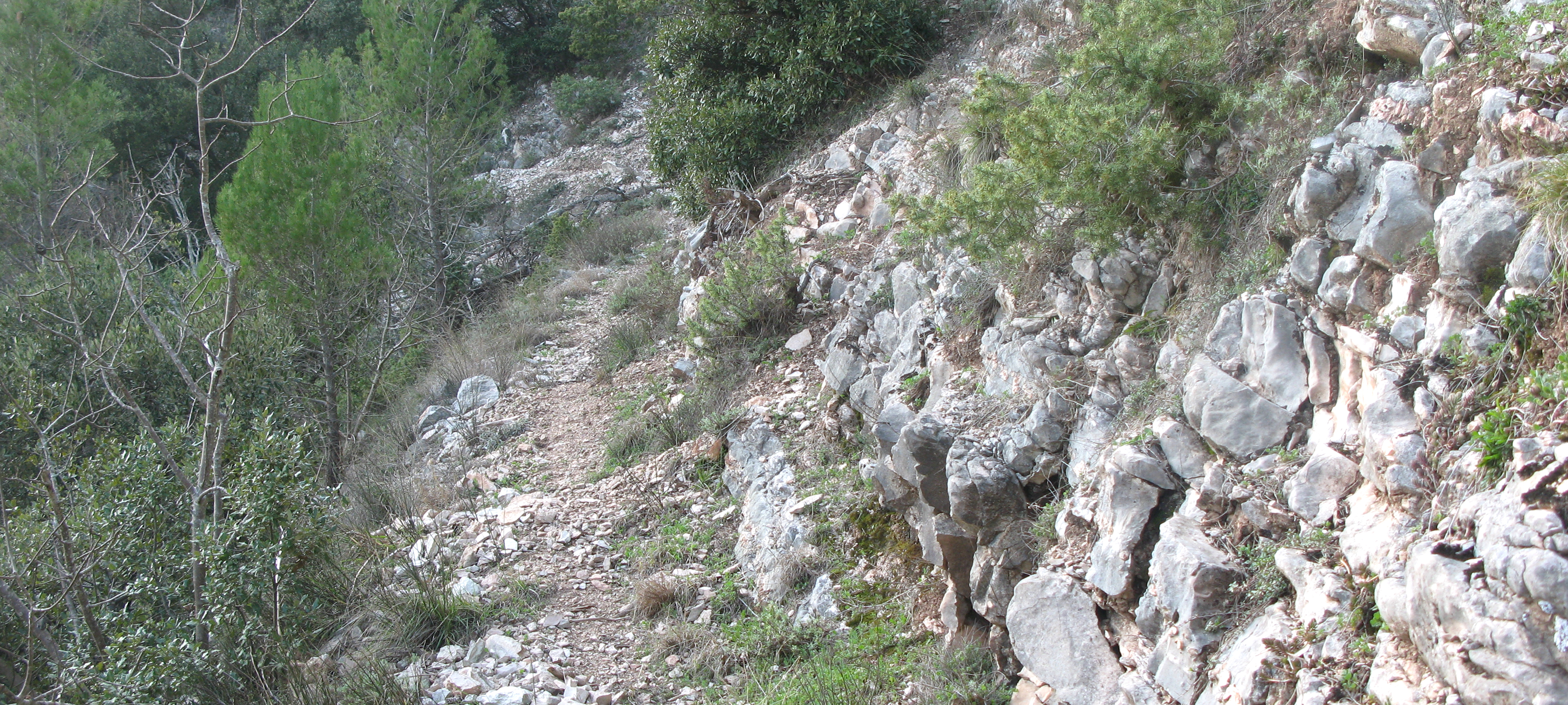 Gola del Furlo Sentiero 440A - immagine 9