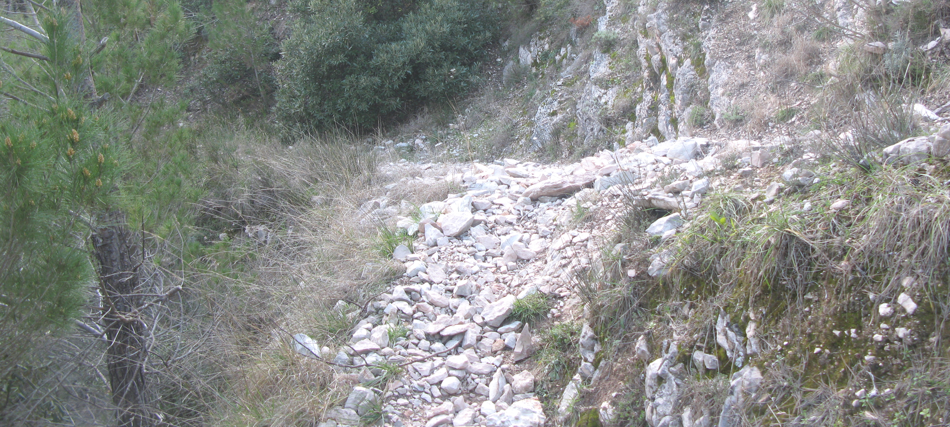 Gola del Furlo Sentiero 440A - immagine 10