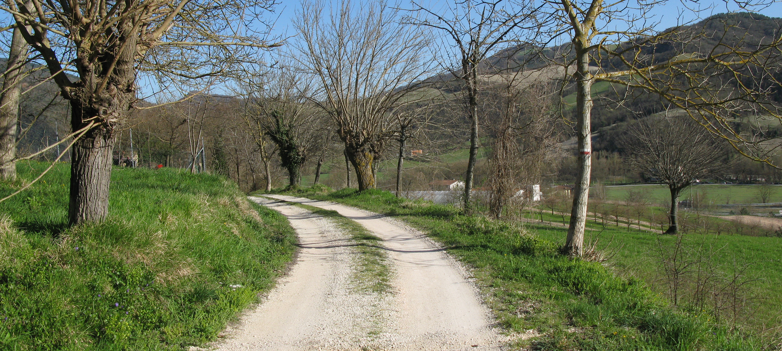 Gola del Furlo Sentiero 441 - immagine 2