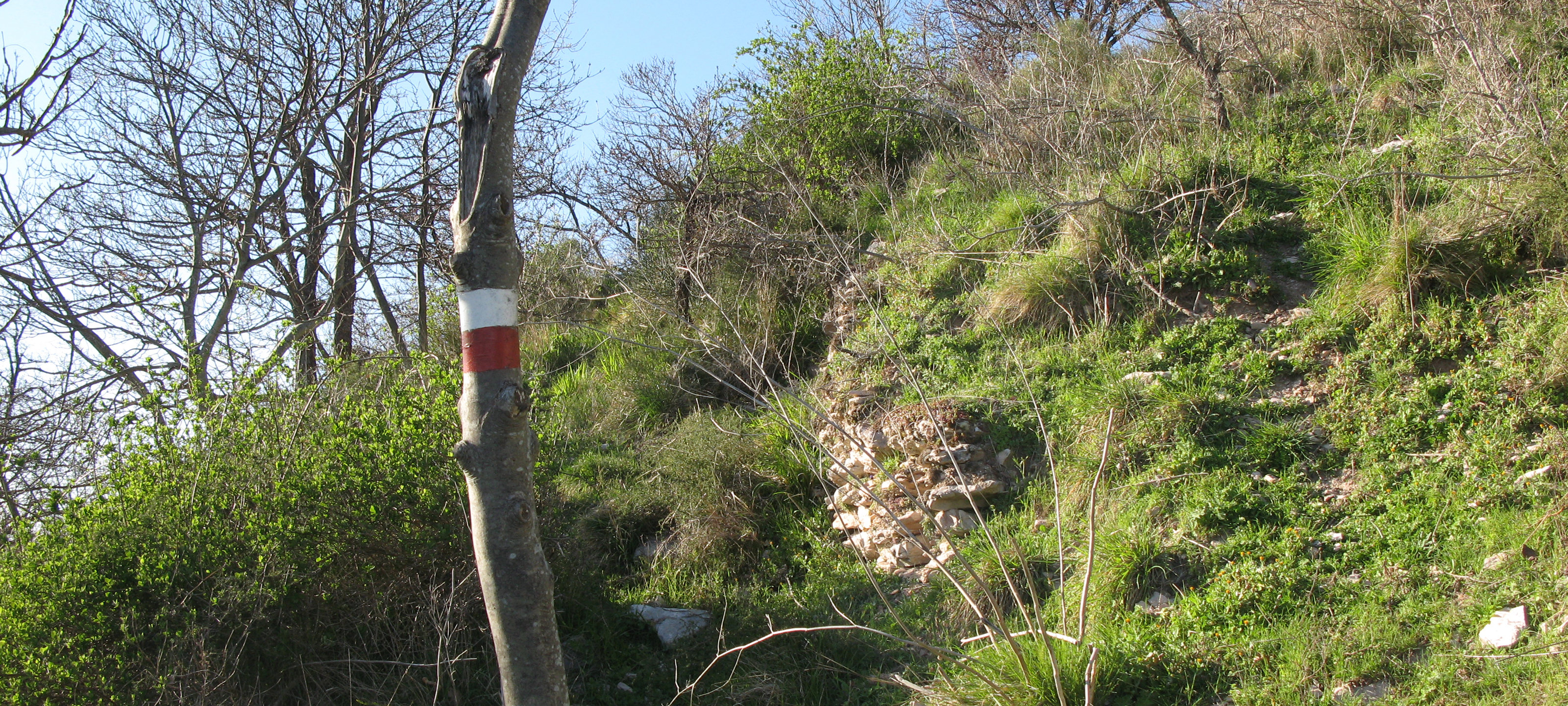 Gola del Furlo Sentiero 441 - immagine 4