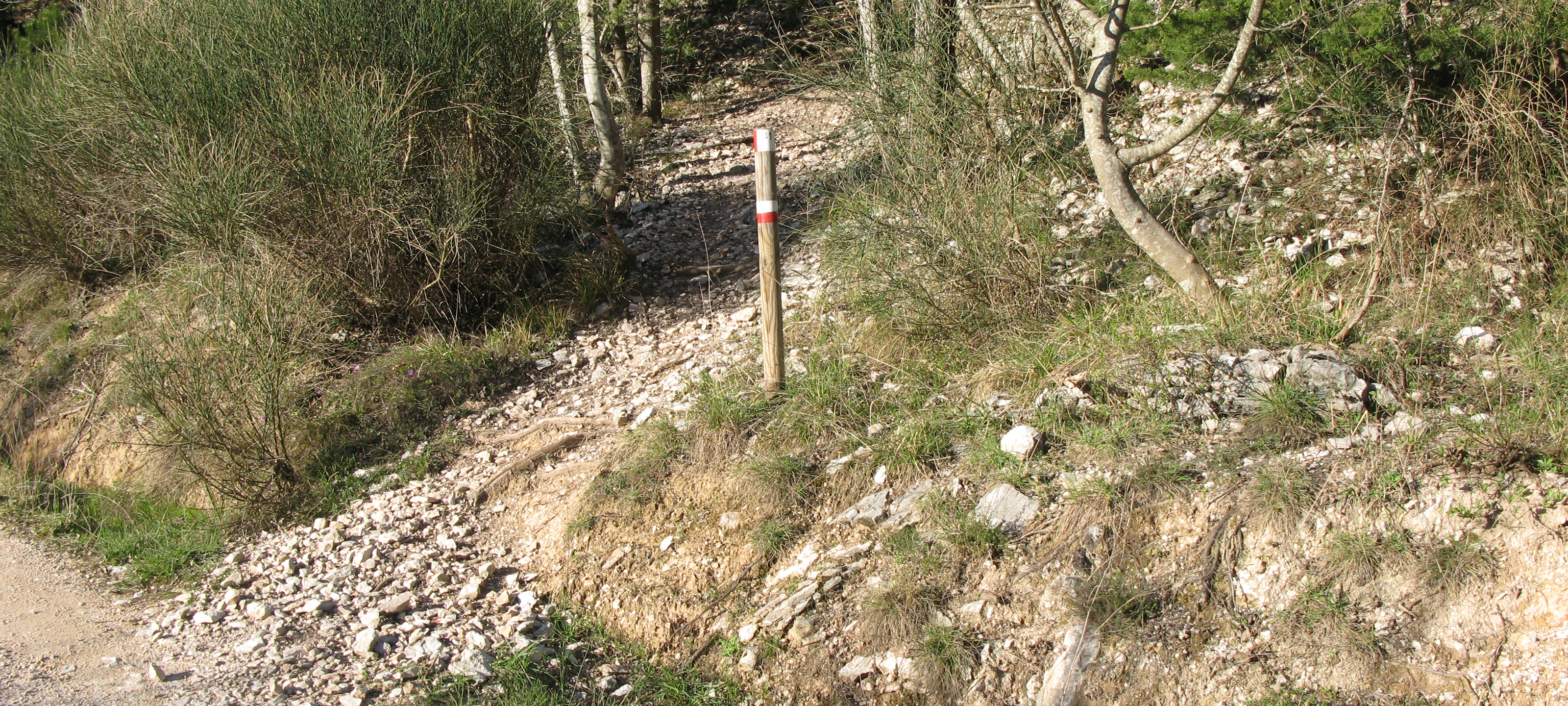Gola del Furlo Sentiero 441 - immagine 7