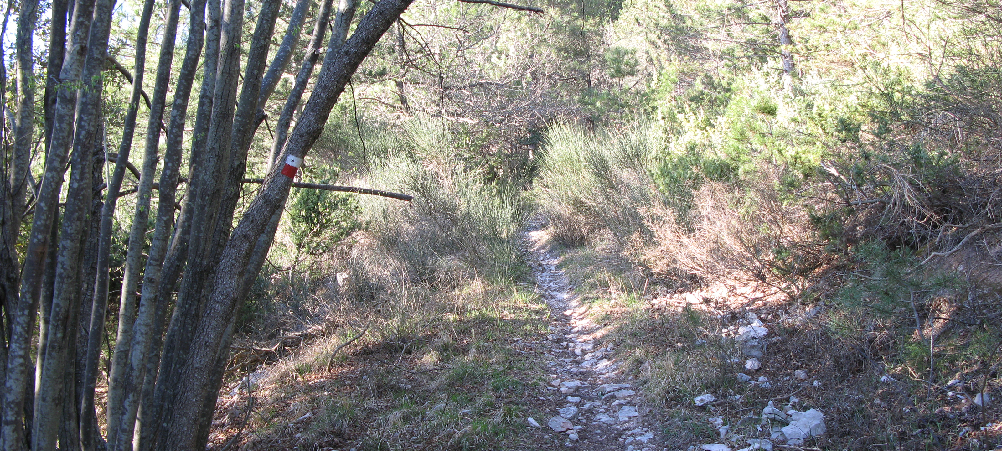 Gola del Furlo Sentiero 441 - immagine 8