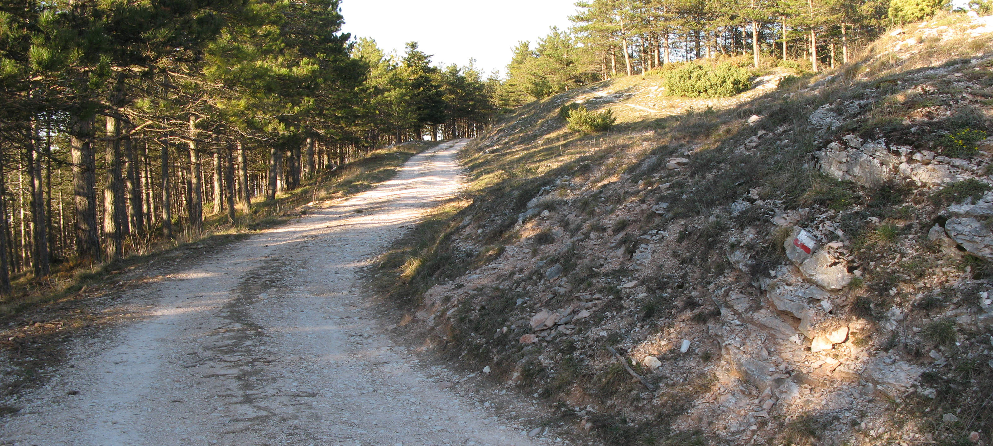Gola del Furlo Sentiero 441 - immagine 11