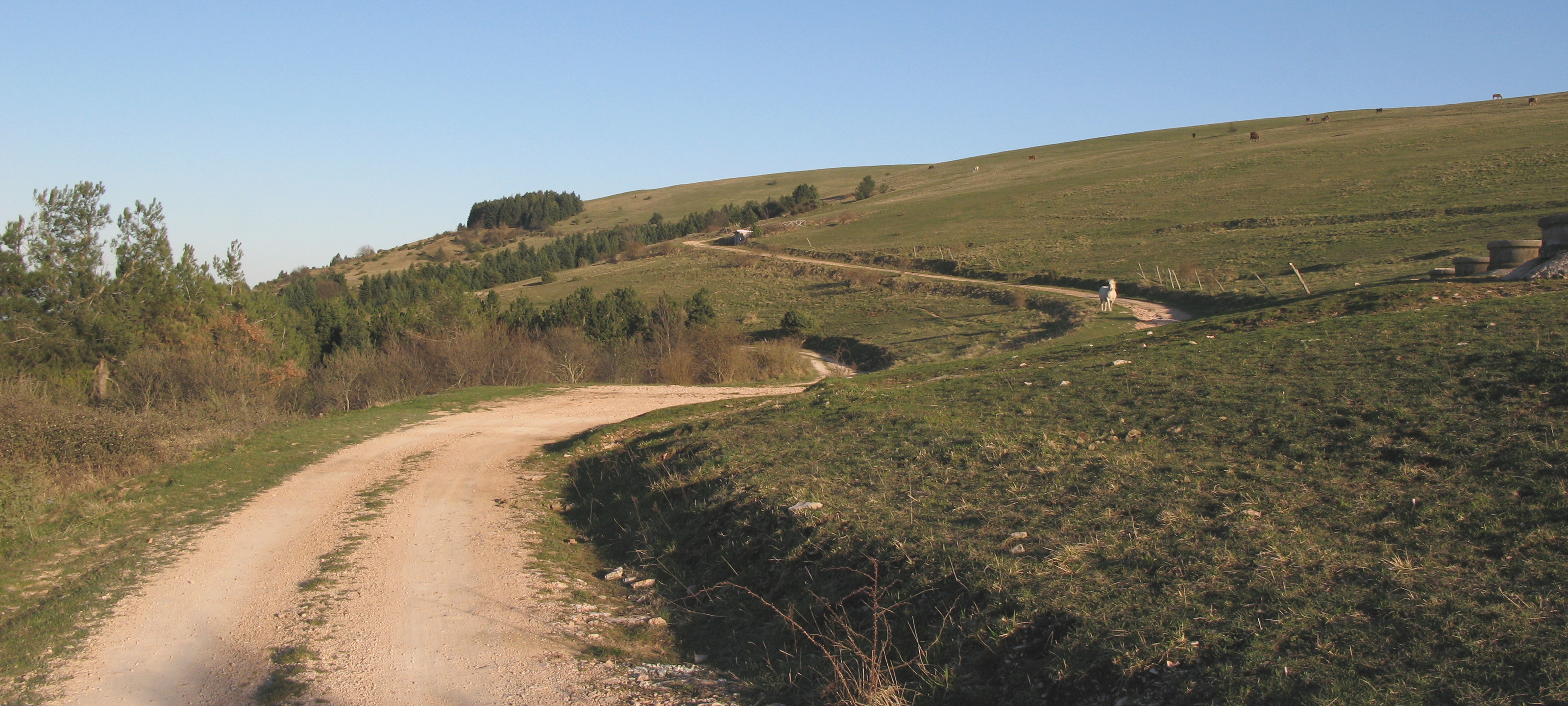 Gola del Furlo Sentiero 441 - immagine 12