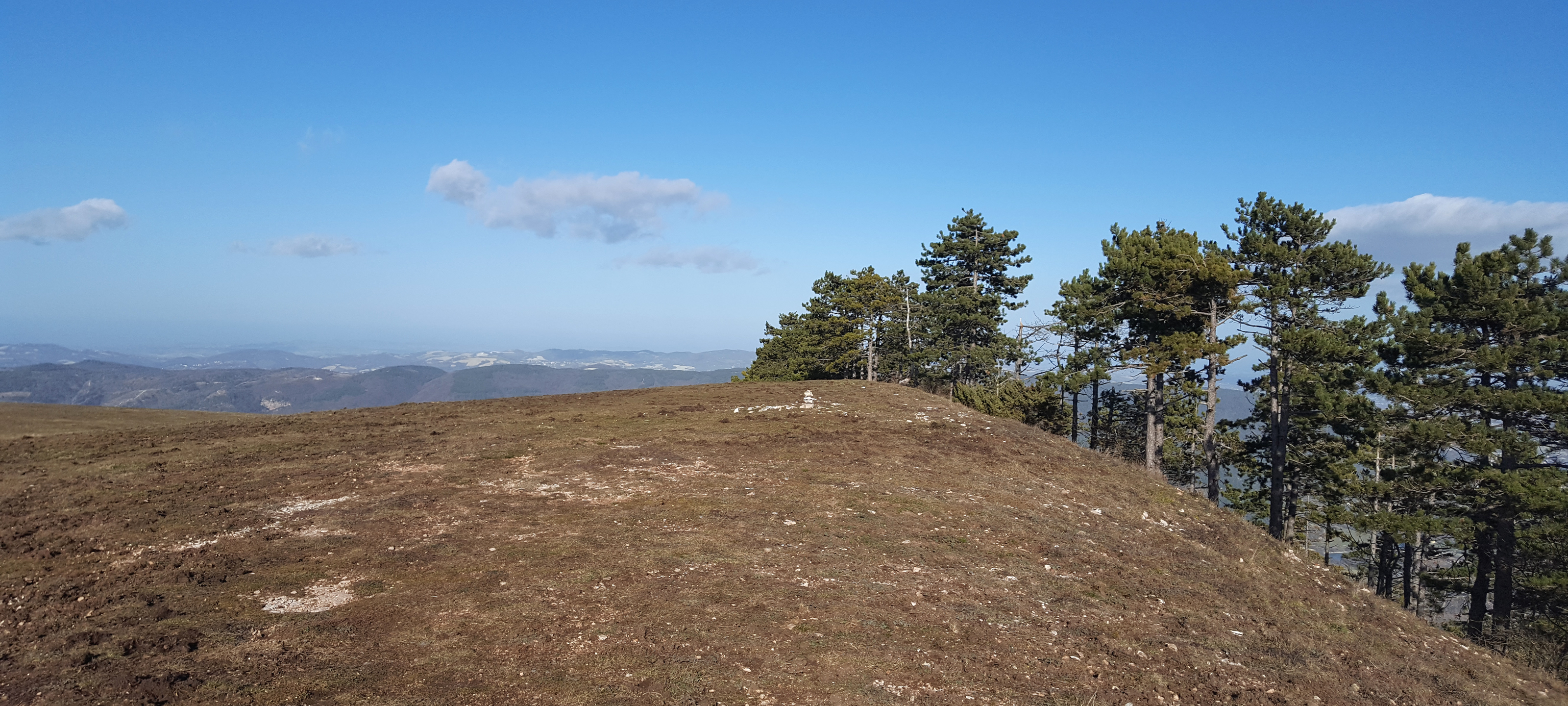 Gola del Furlo Sentiero 441 - immagine 13 (Monte Pietralata)