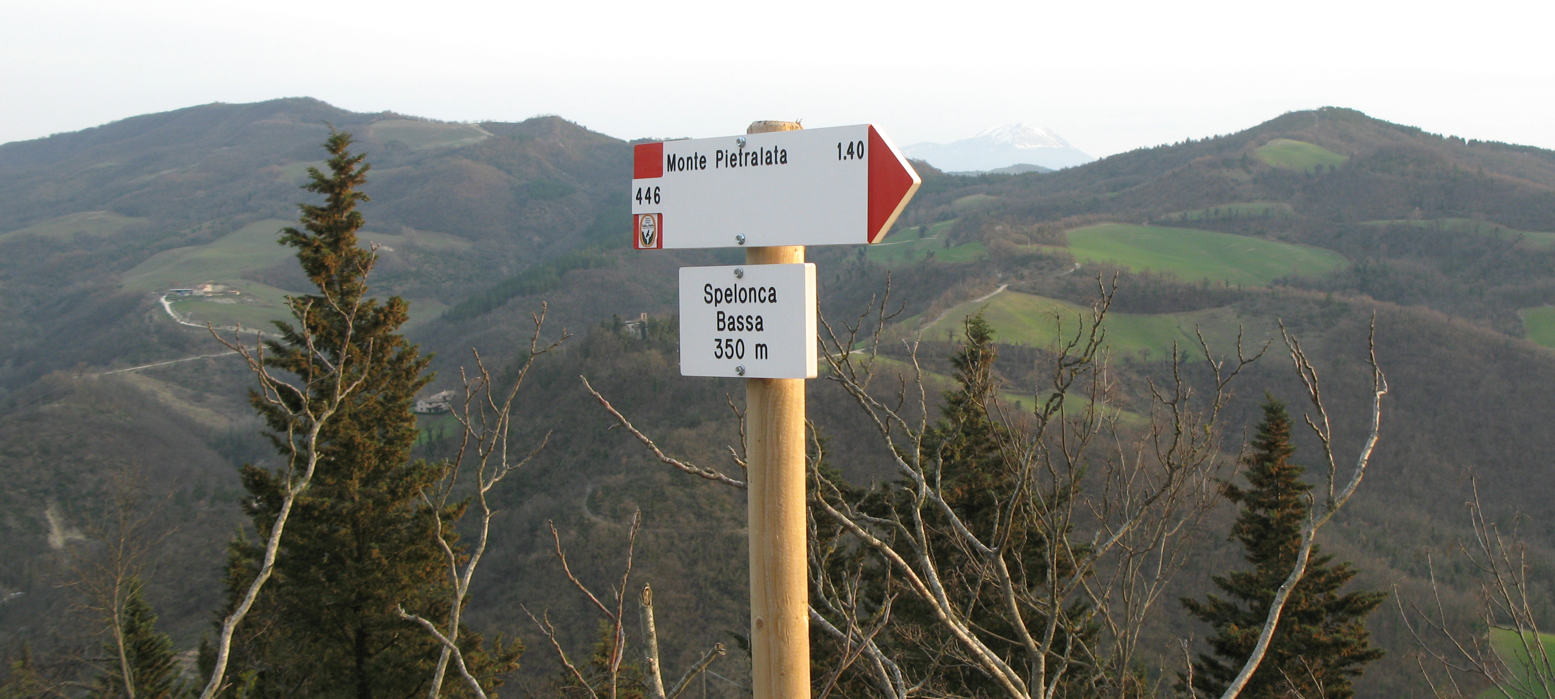 Gola del Furlo Sentiero 446 - immagine 1