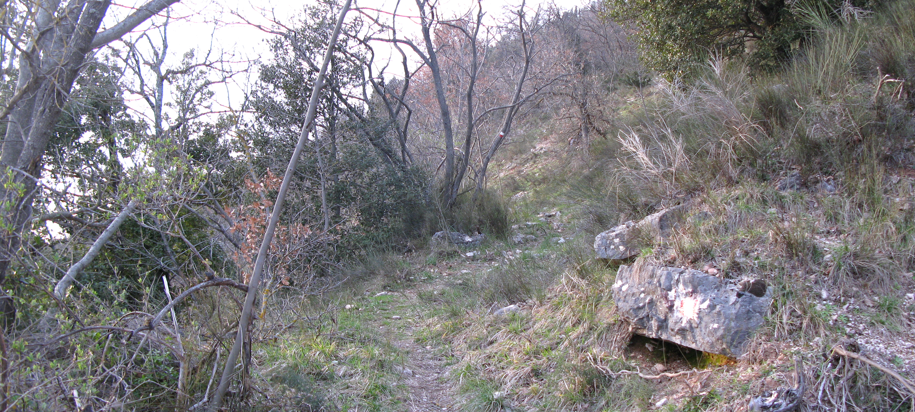 Gola del Furlo Sentiero 446 - immagine 2