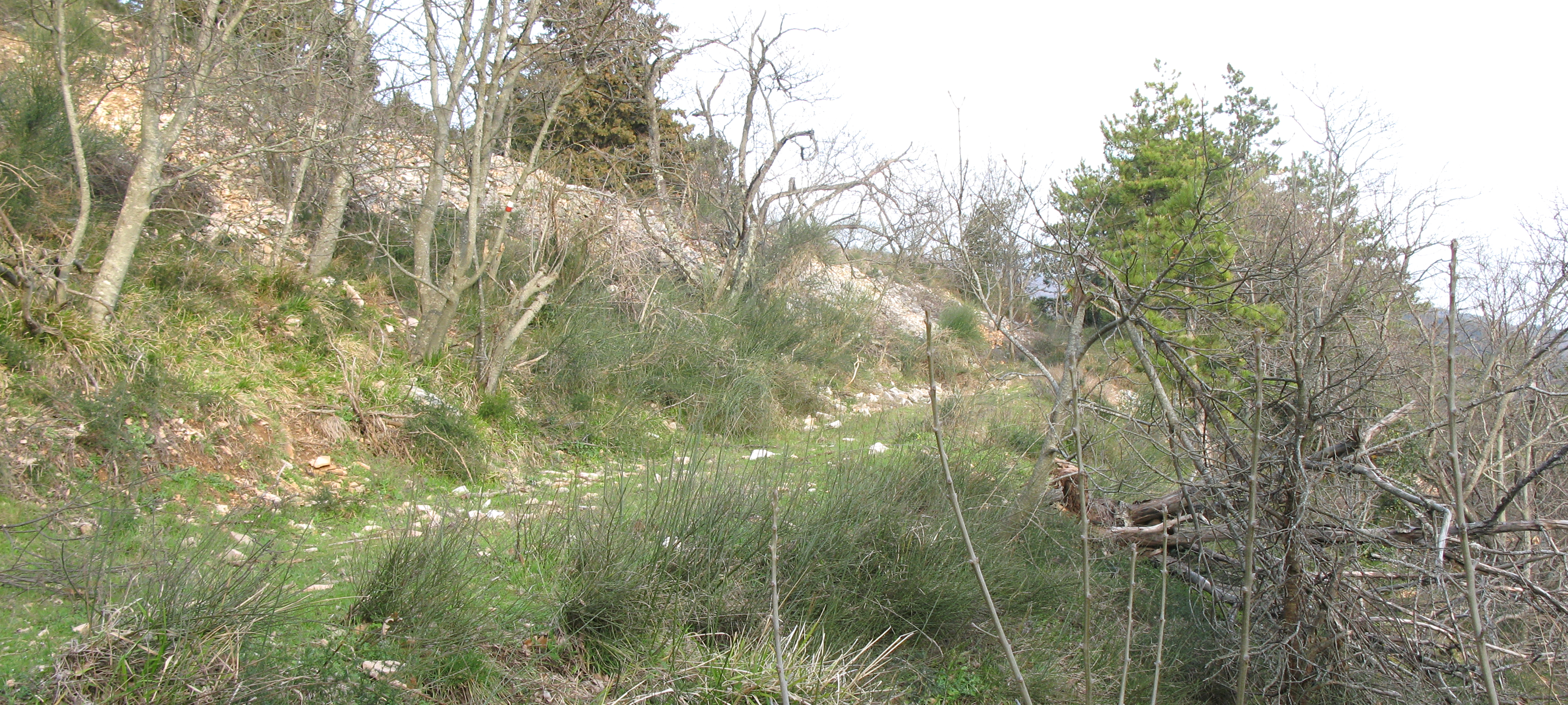 Gola del Furlo Sentiero 446 - immagine 5