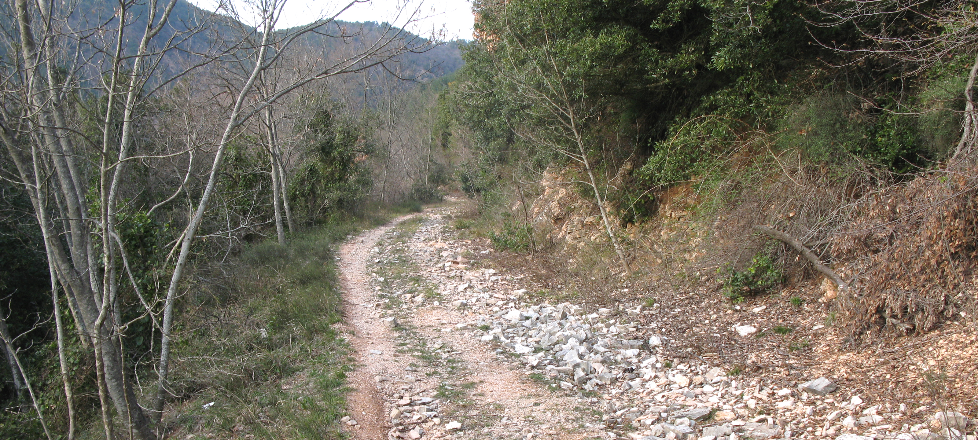 Gola del Furlo Sentiero 446 - immagine 6