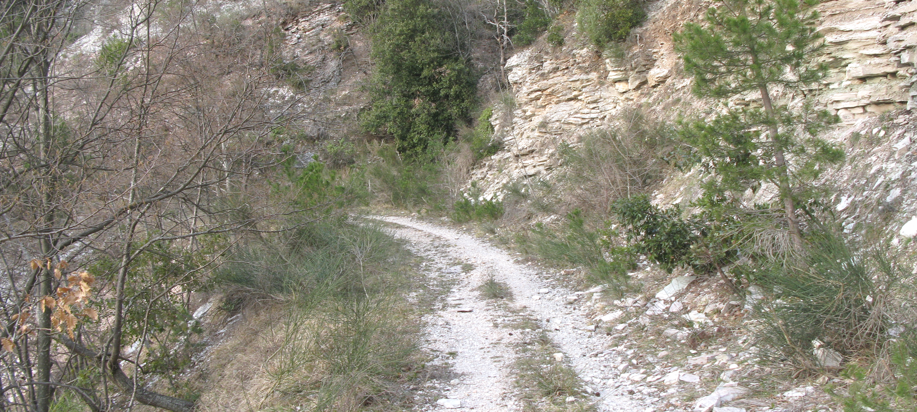 Gola del Furlo Sentiero 446 - immagine 7