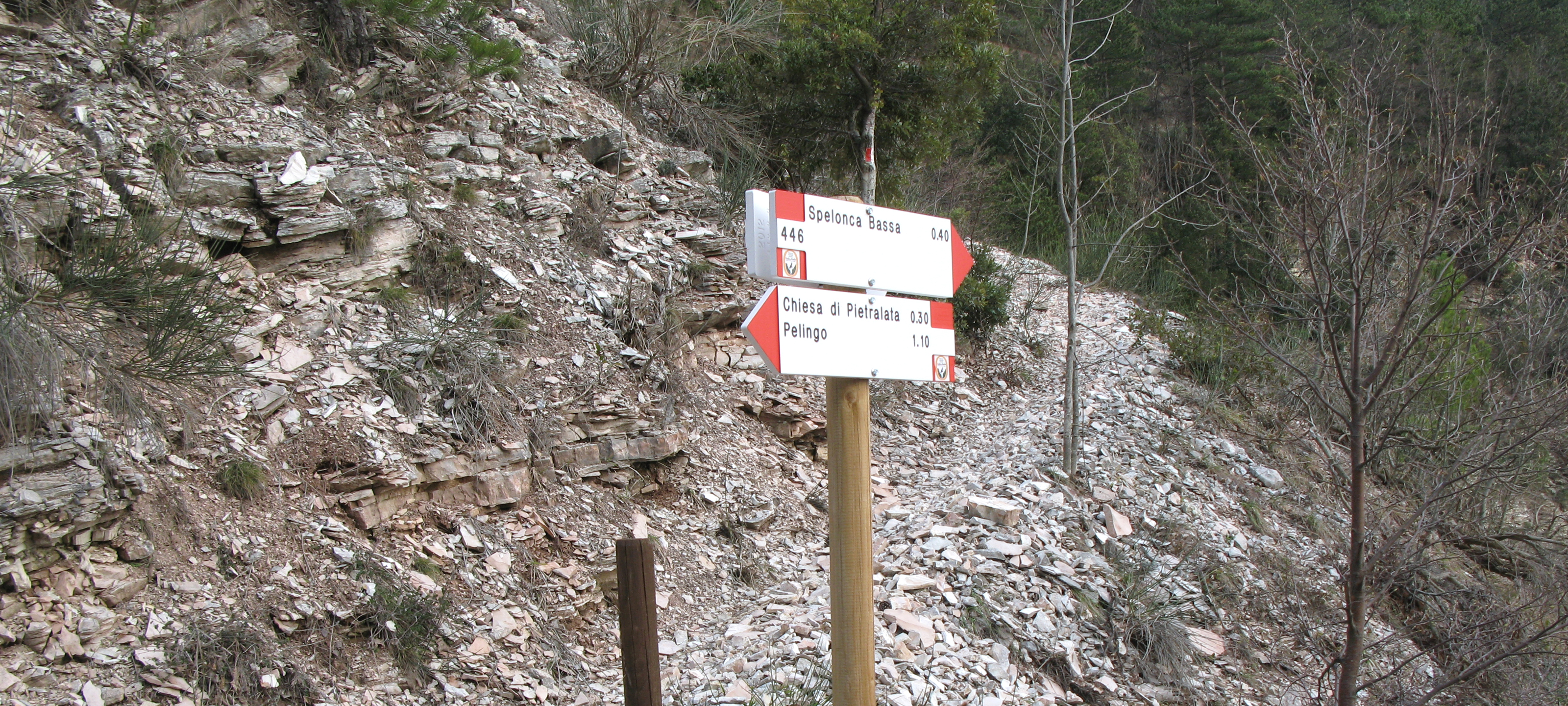 Gola del Furlo Sentiero 446 - immagine 8