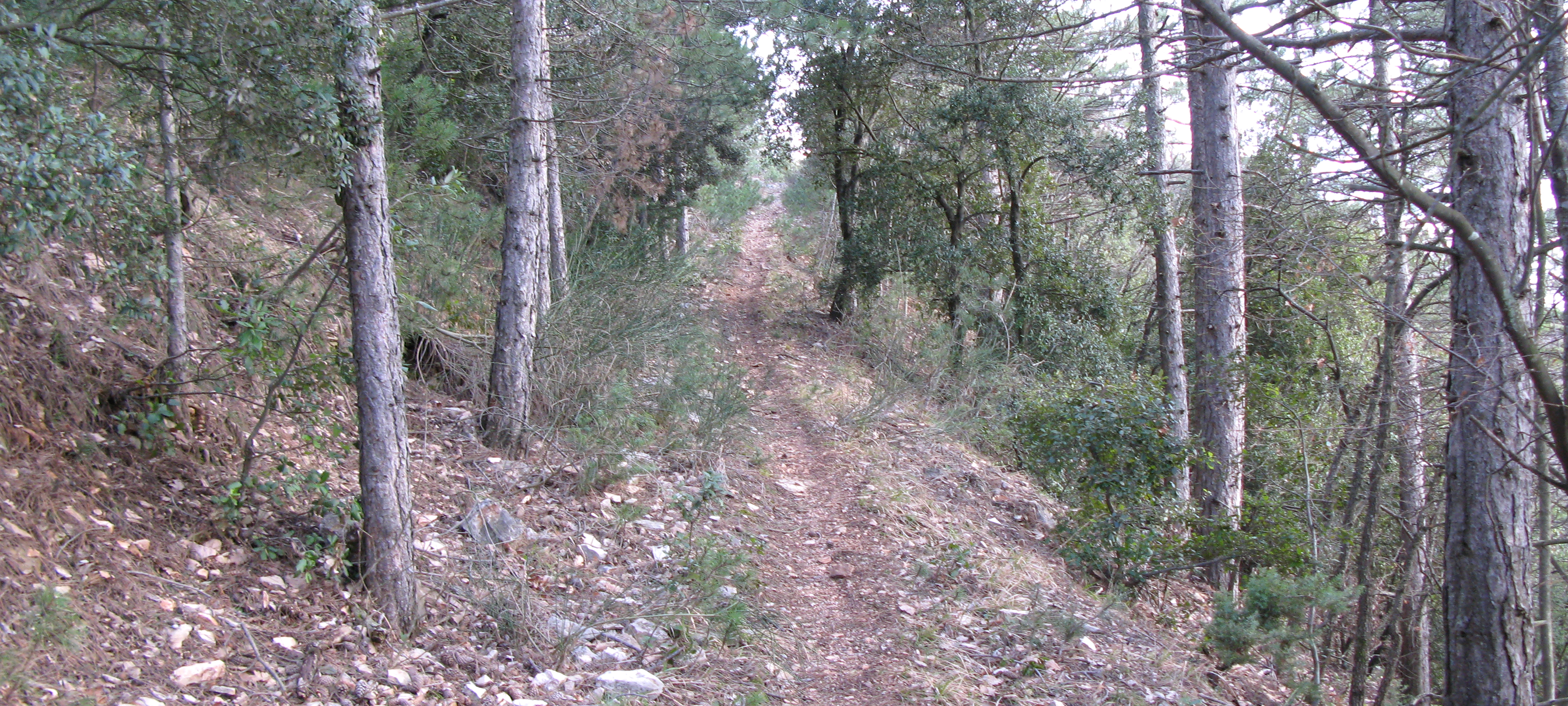 Gola del Furlo Sentiero 446 - immagine 10