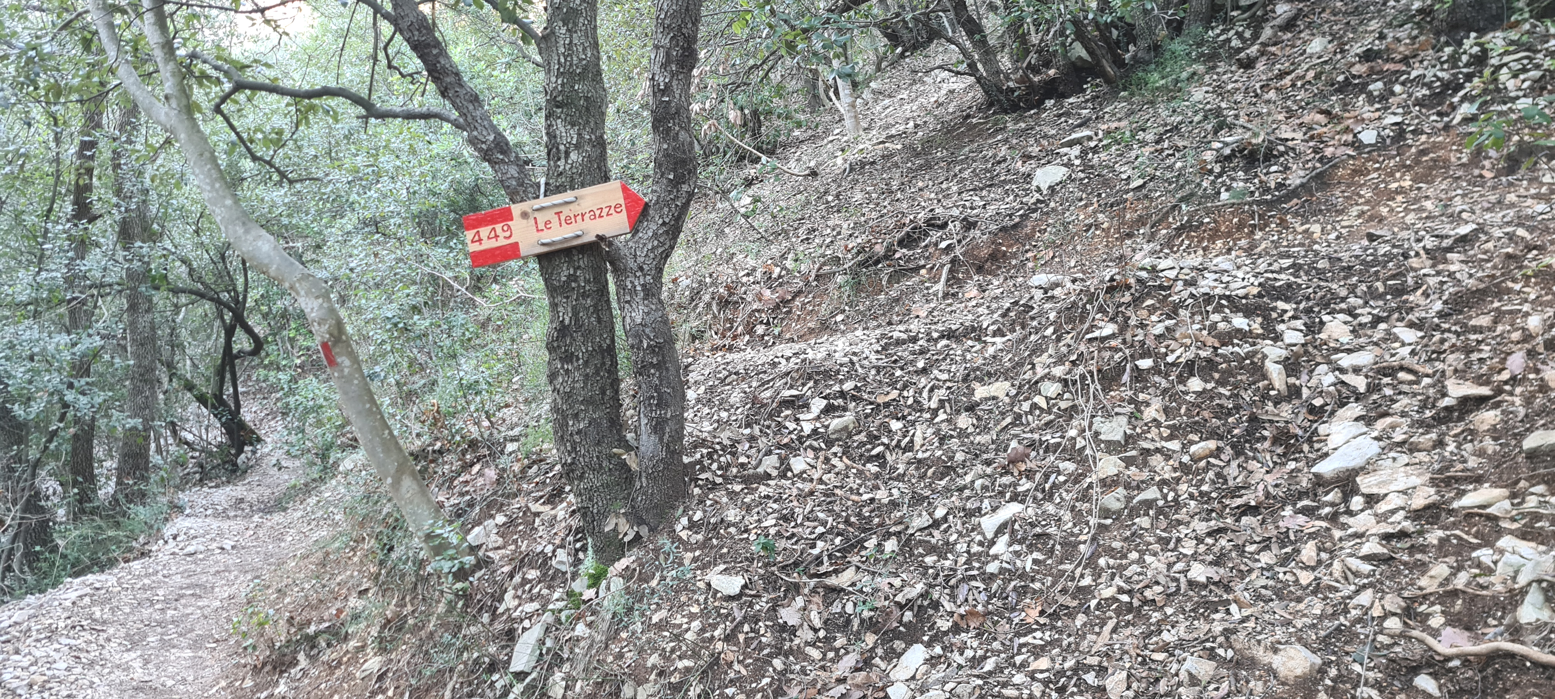 Gola del Furlo Sentiero 449 - immagine 2