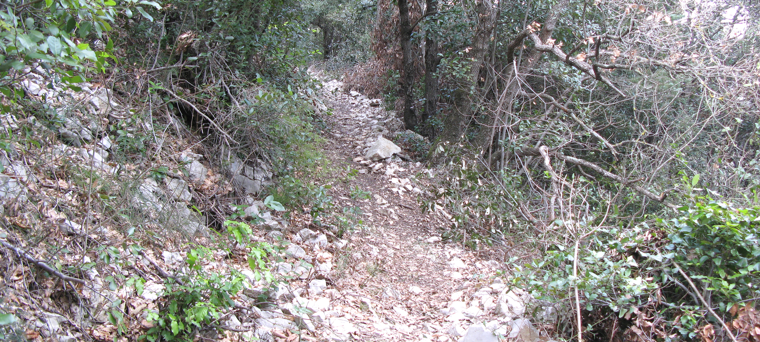 Gola del Furlo Sentiero 449 - immagine 3