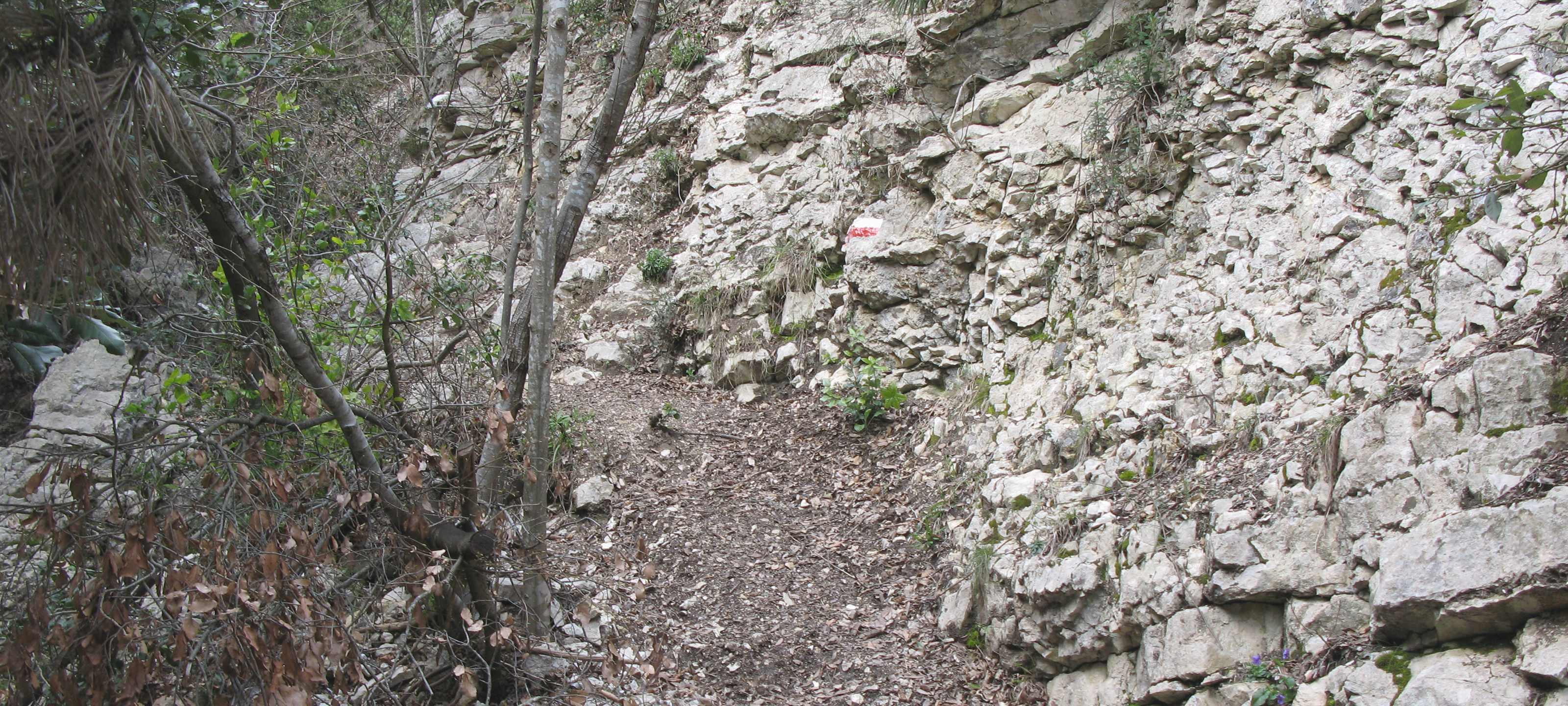 Gola del Furlo Sentiero 449 - immagine 4