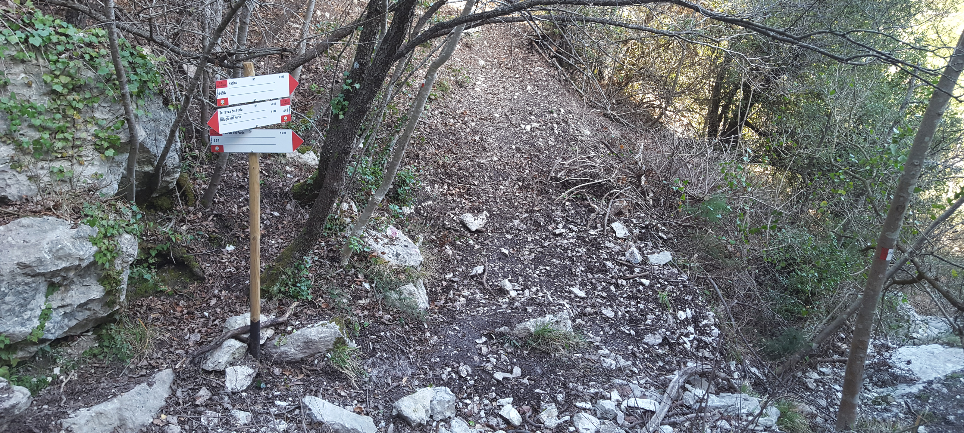 Gola del Furlo Sentiero 449 - immagine 5