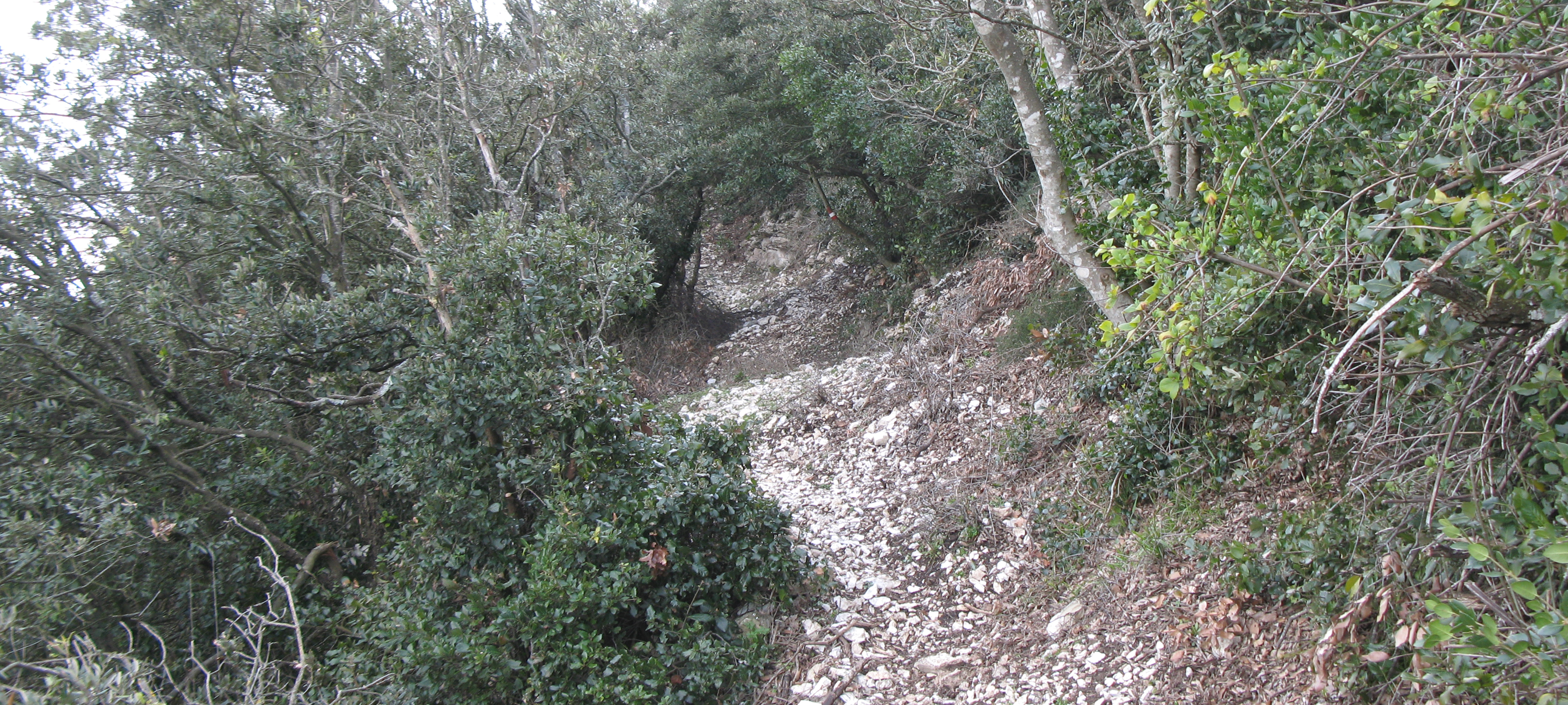 Gola del Furlo Sentiero 449 - immagine 9