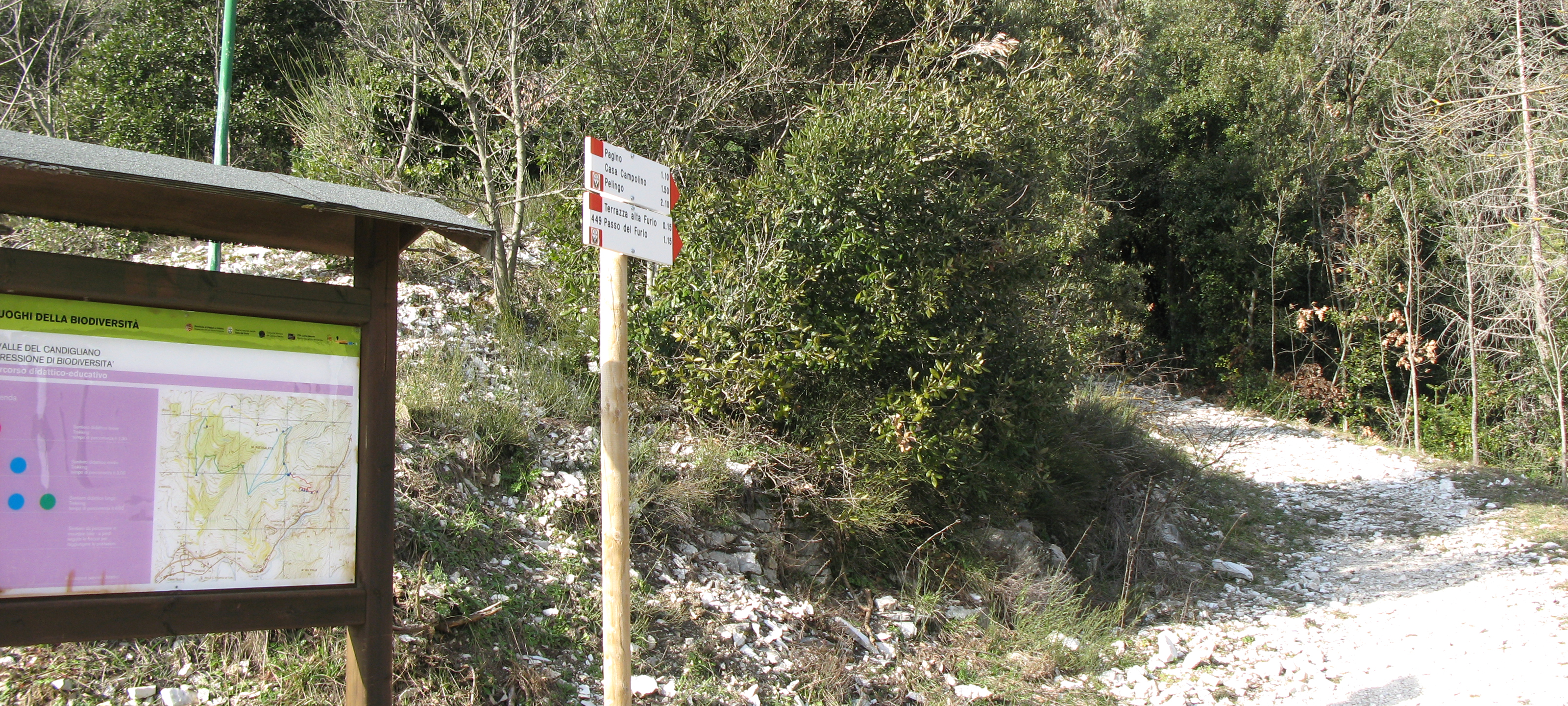 Gola del Furlo Sentiero 449 - immagine 13