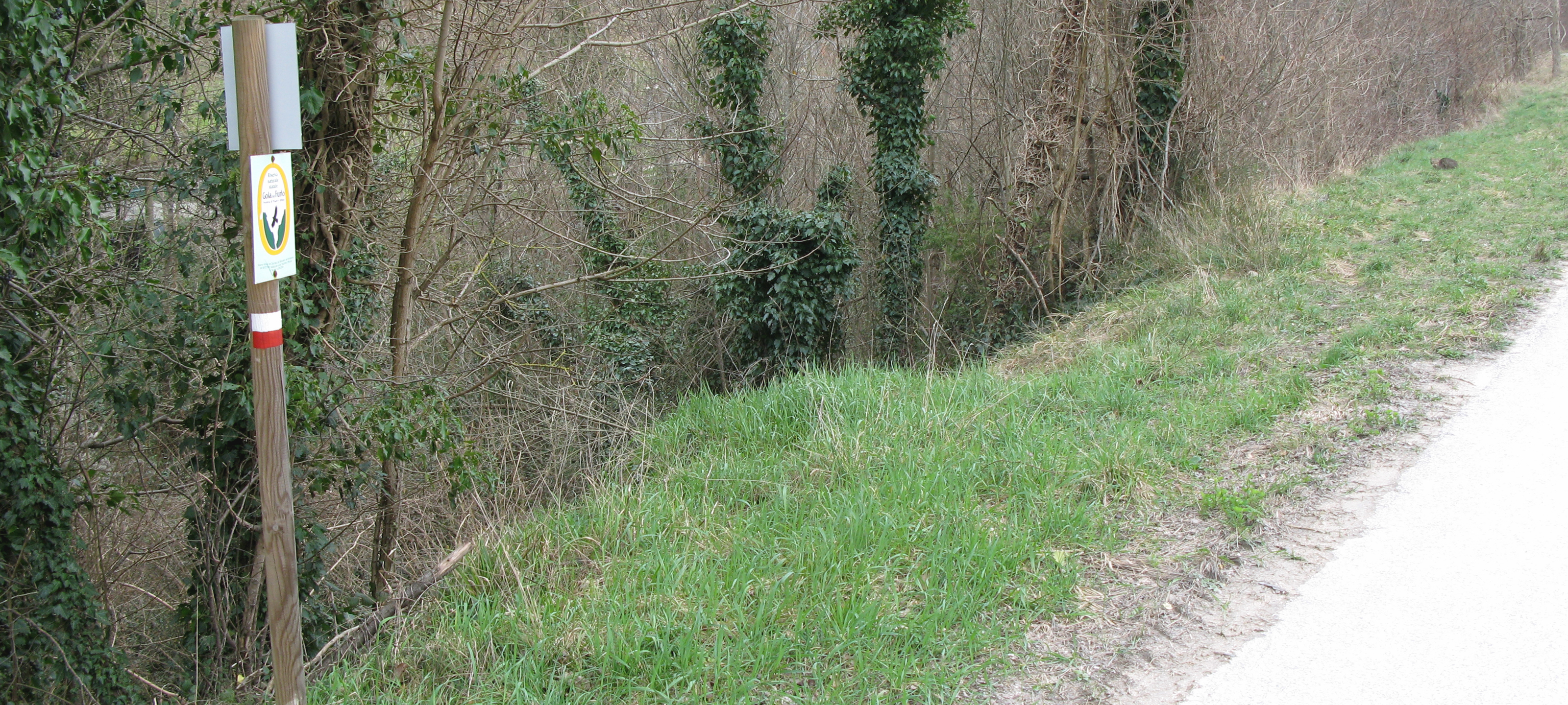 Gola del Furlo Sentiero 450 - immagine 2