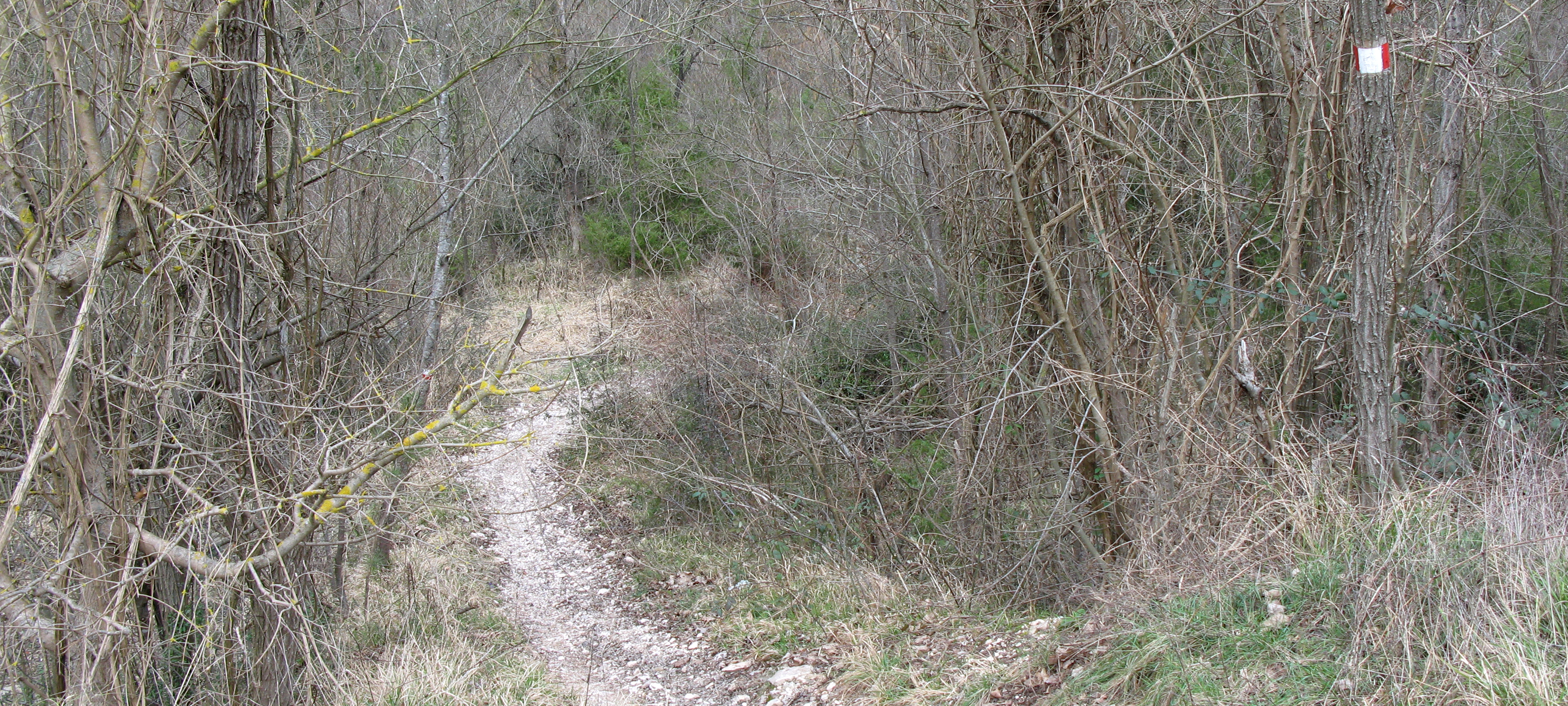 Gola del Furlo Sentiero 450 - immagine 3