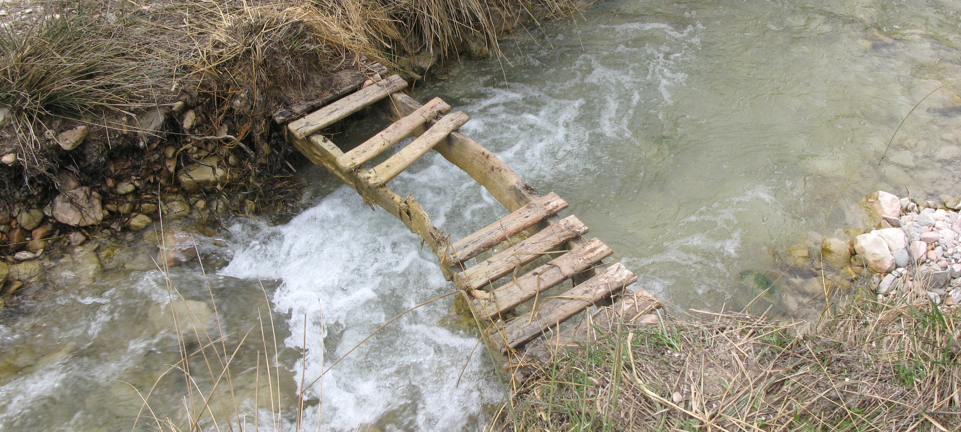Gola del Furlo Sentiero 450 - immagine 4