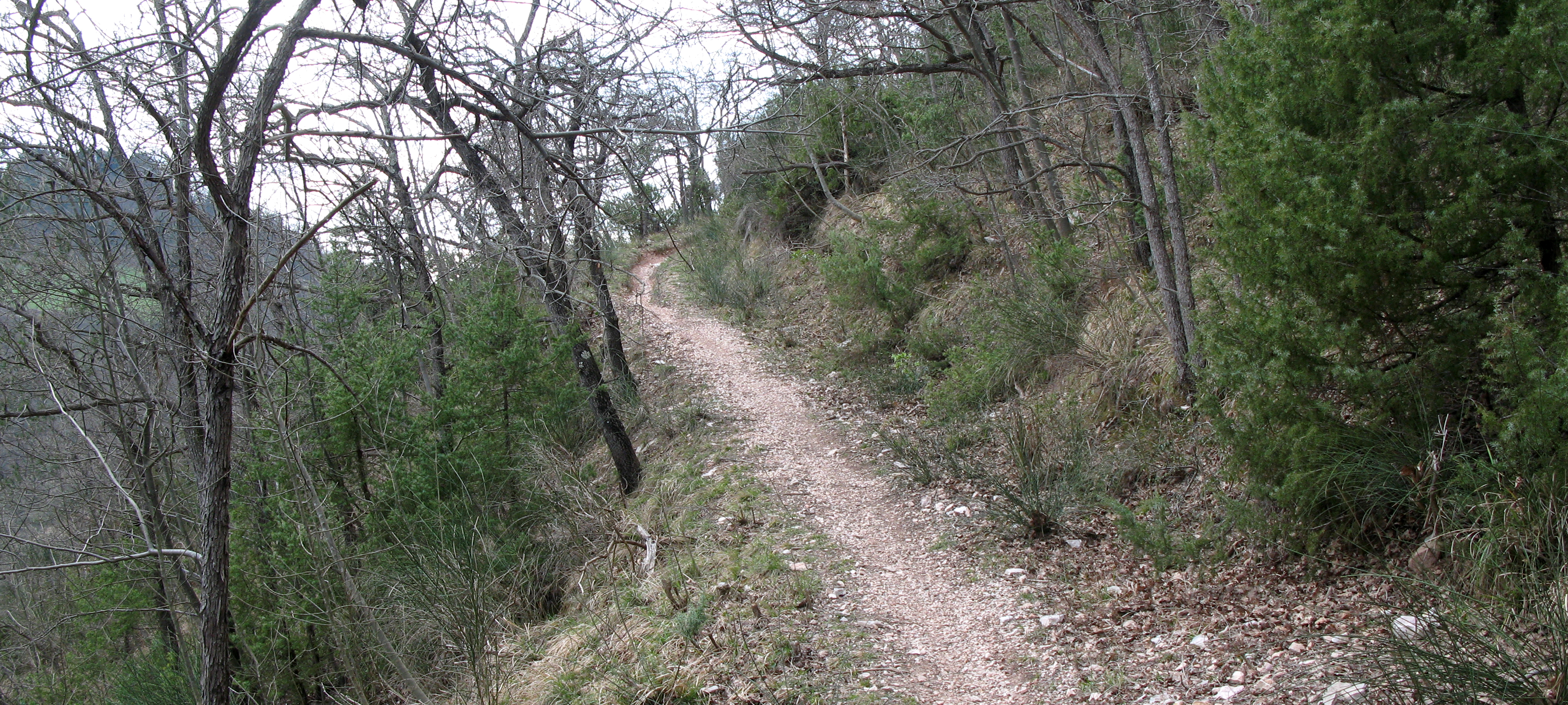 Gola del Furlo Sentiero 450 - immagine 5