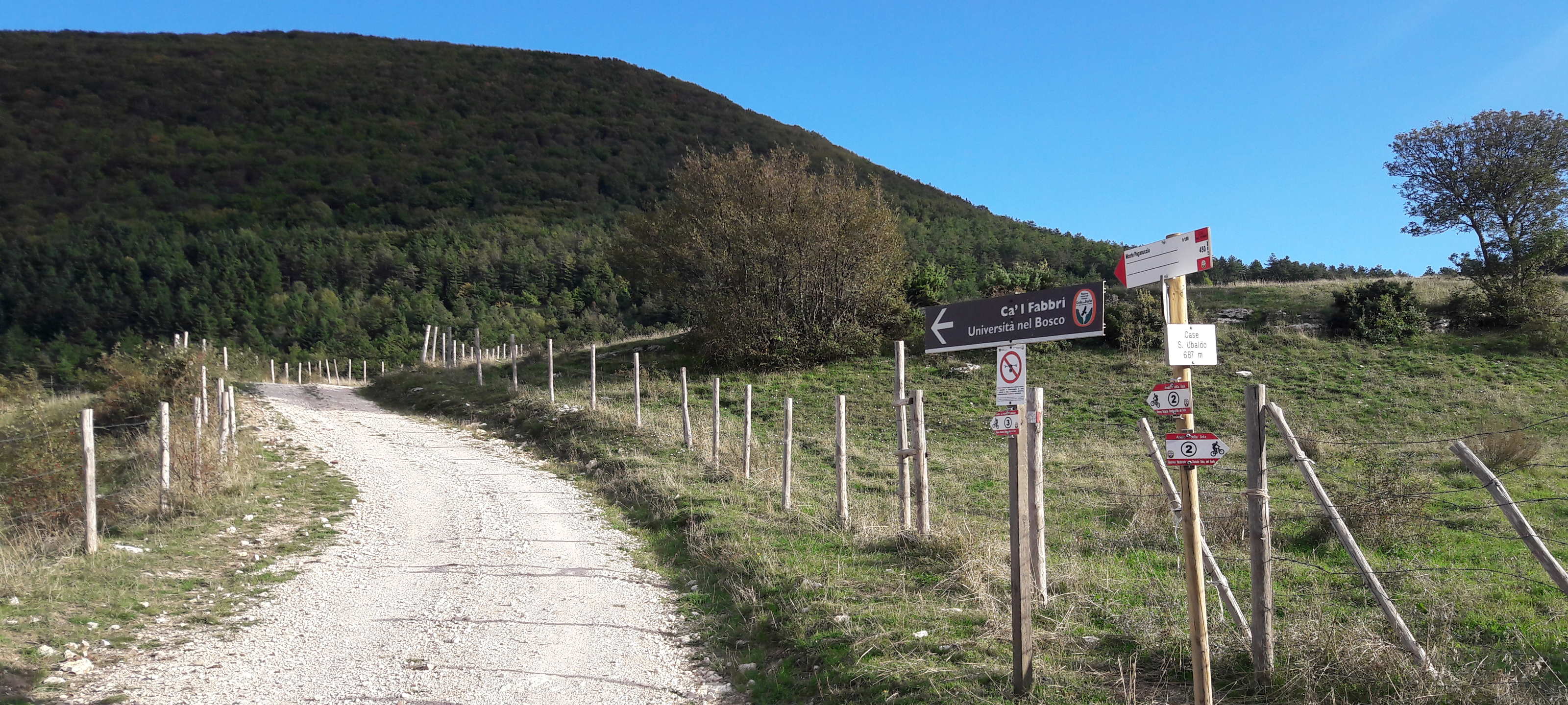 Gola del Furlo Sentiero 450 - immagine 11