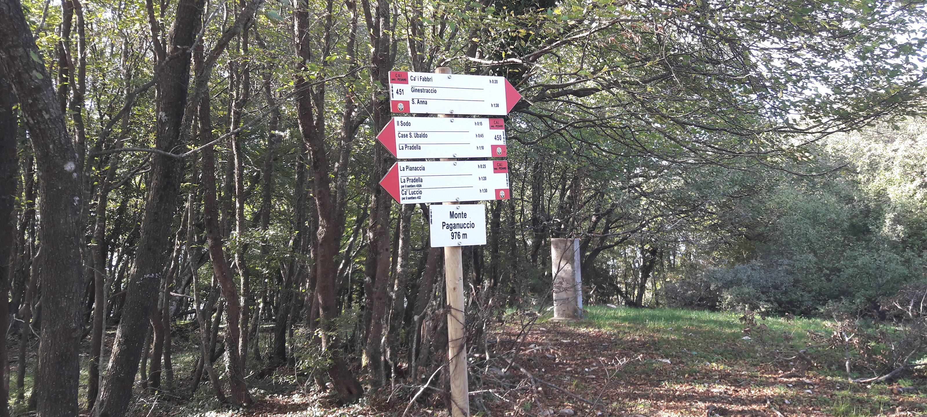 Gola del Furlo Sentiero 450 - immagine 15 (Monte Paganuccio)