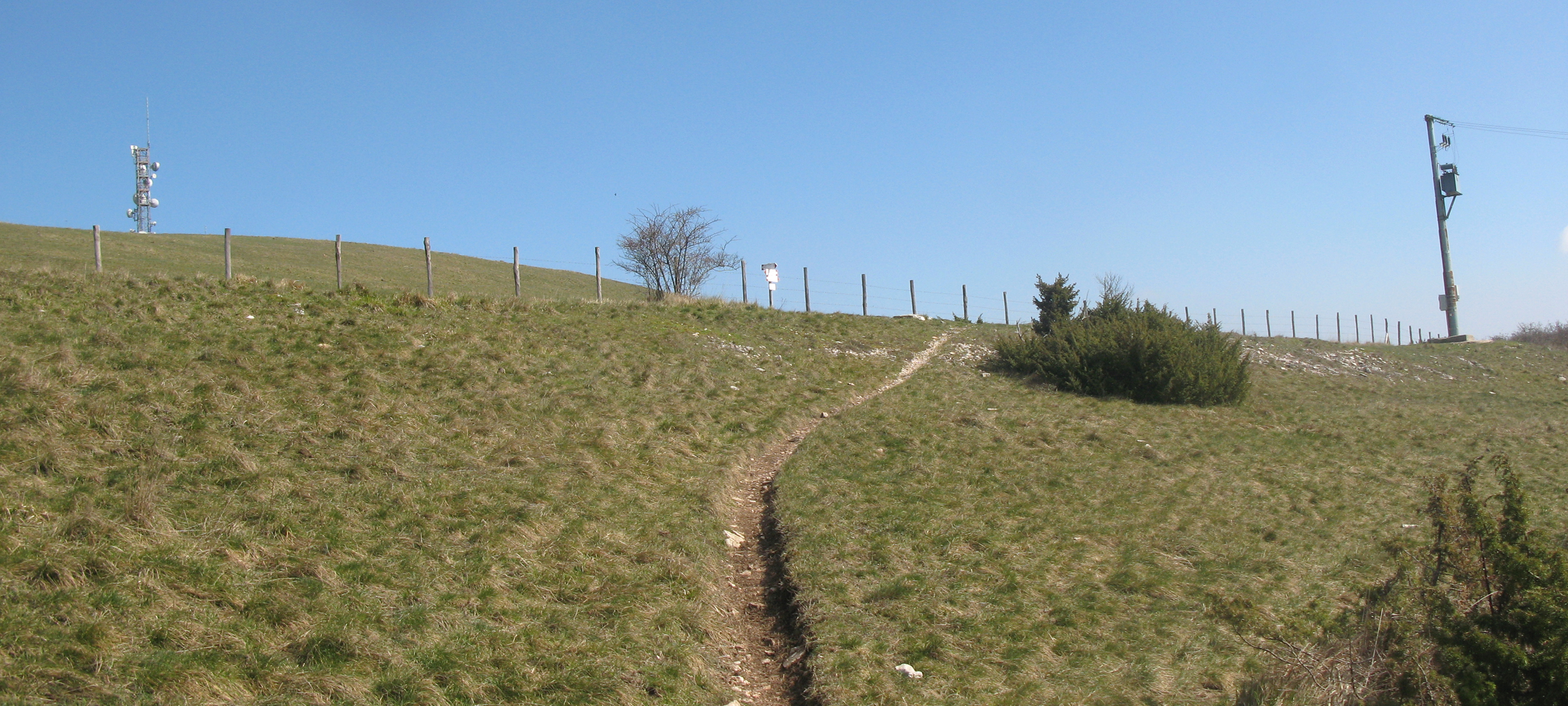 Gola del Furlo Sentiero 450A - immagine 10 (La Pianaccia)