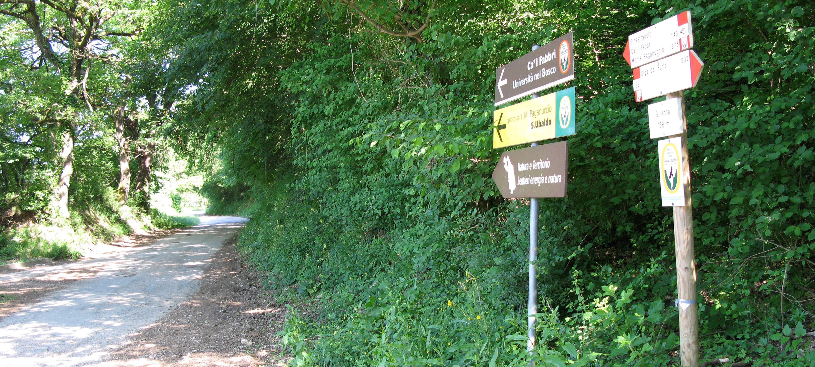 Gola del Furlo Sentiero 451 - immagine 1