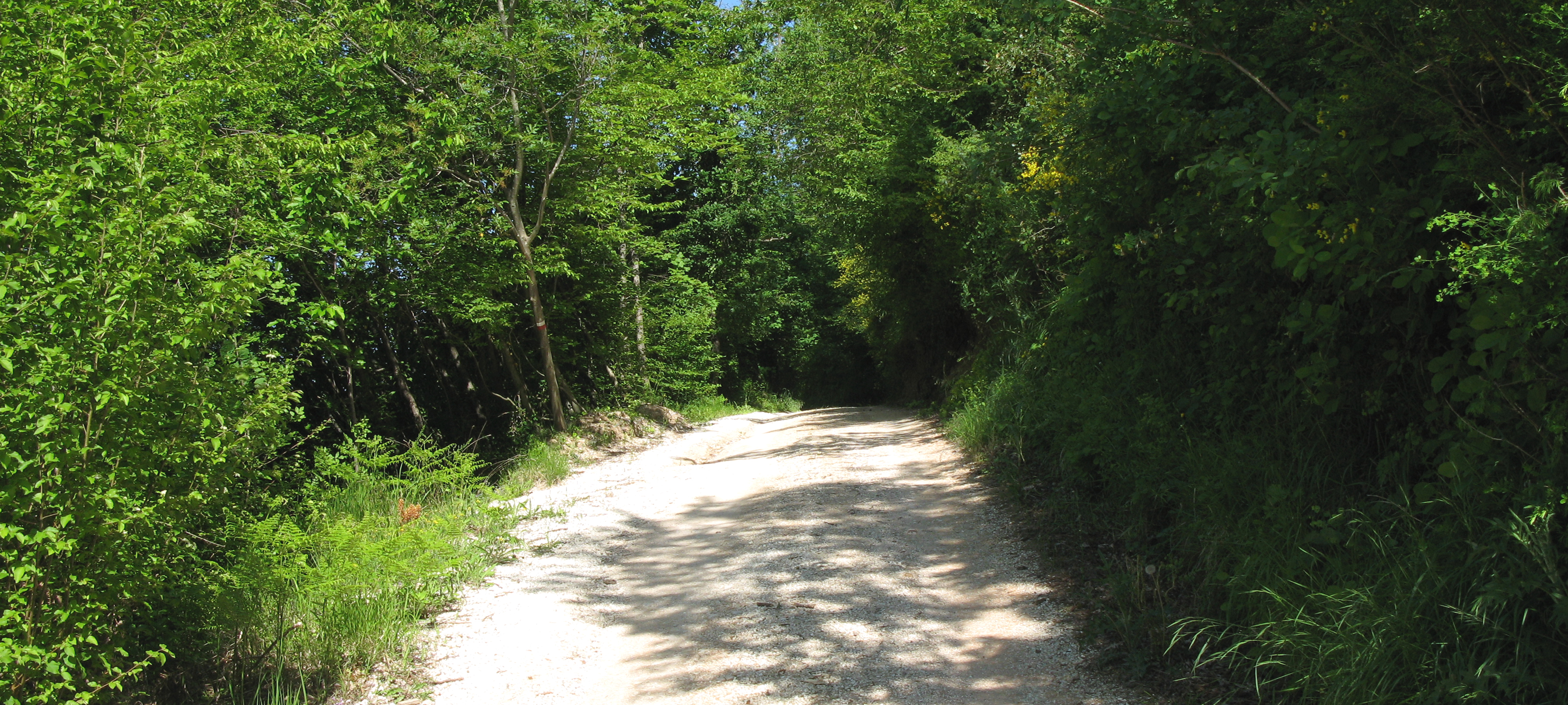 Gola del Furlo Sentiero 451 - immagine 2