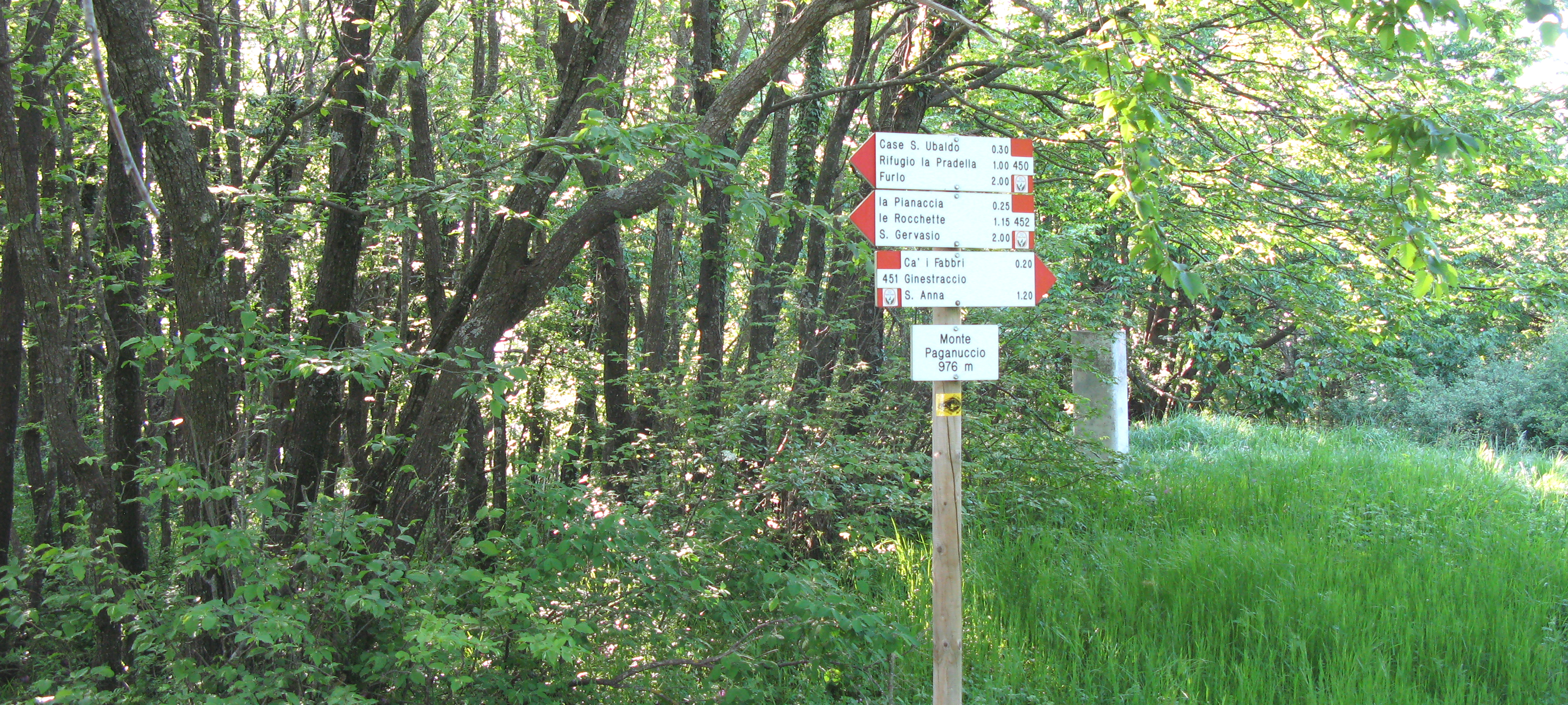 Gola del Furlo Sentiero 451 - immagine 12 (Monte Paganuccio)