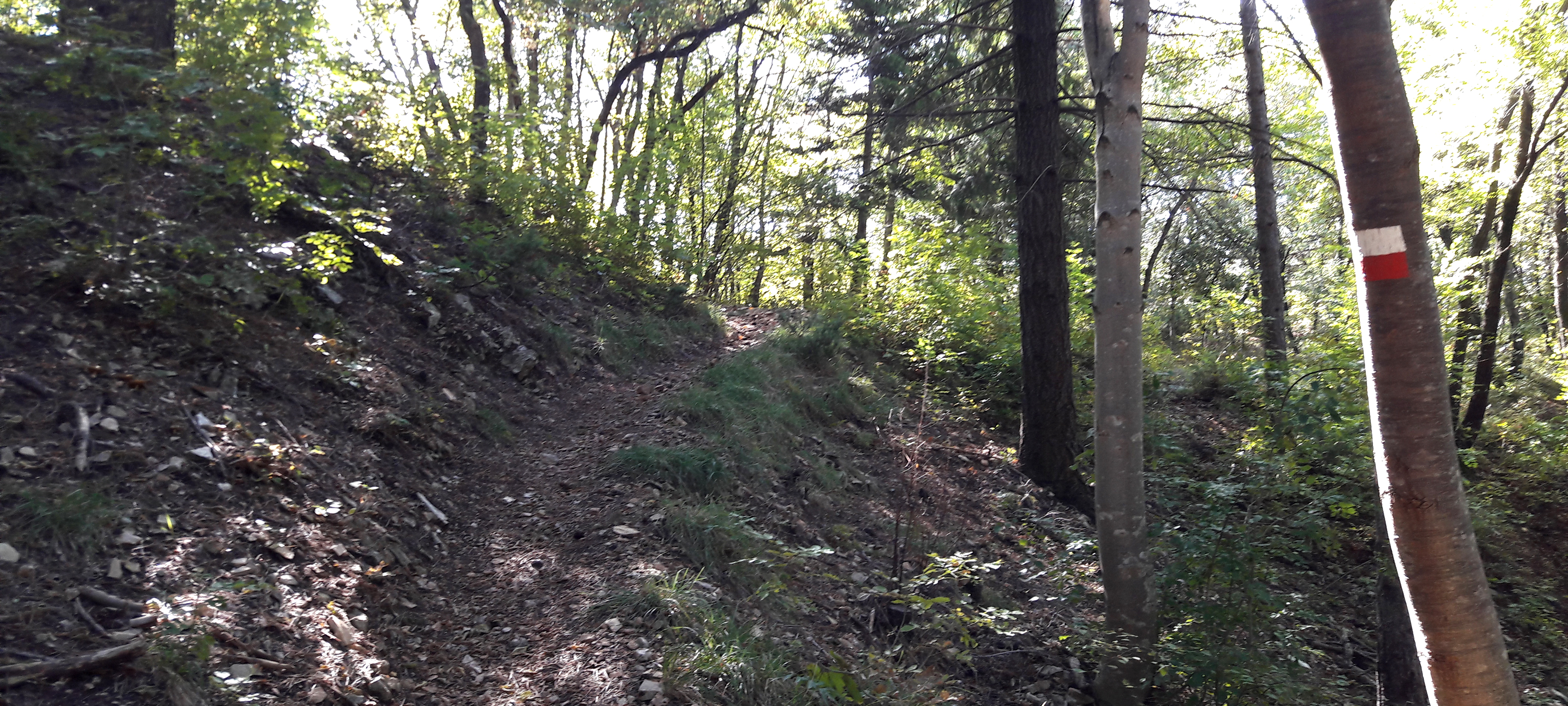 Gola del Furlo Sentiero 452 - immagine 2